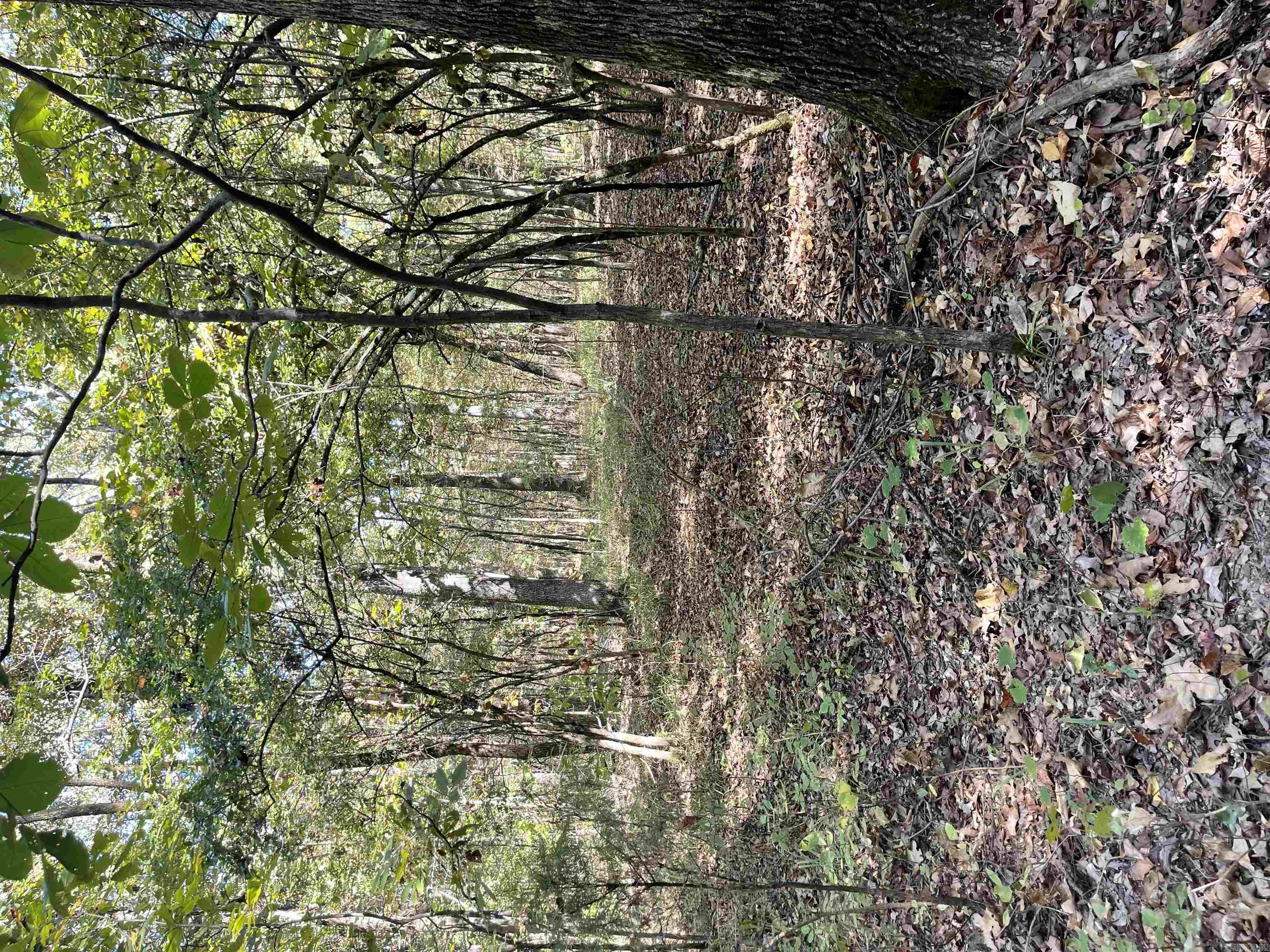 20 Acres Congo  Benton, AR