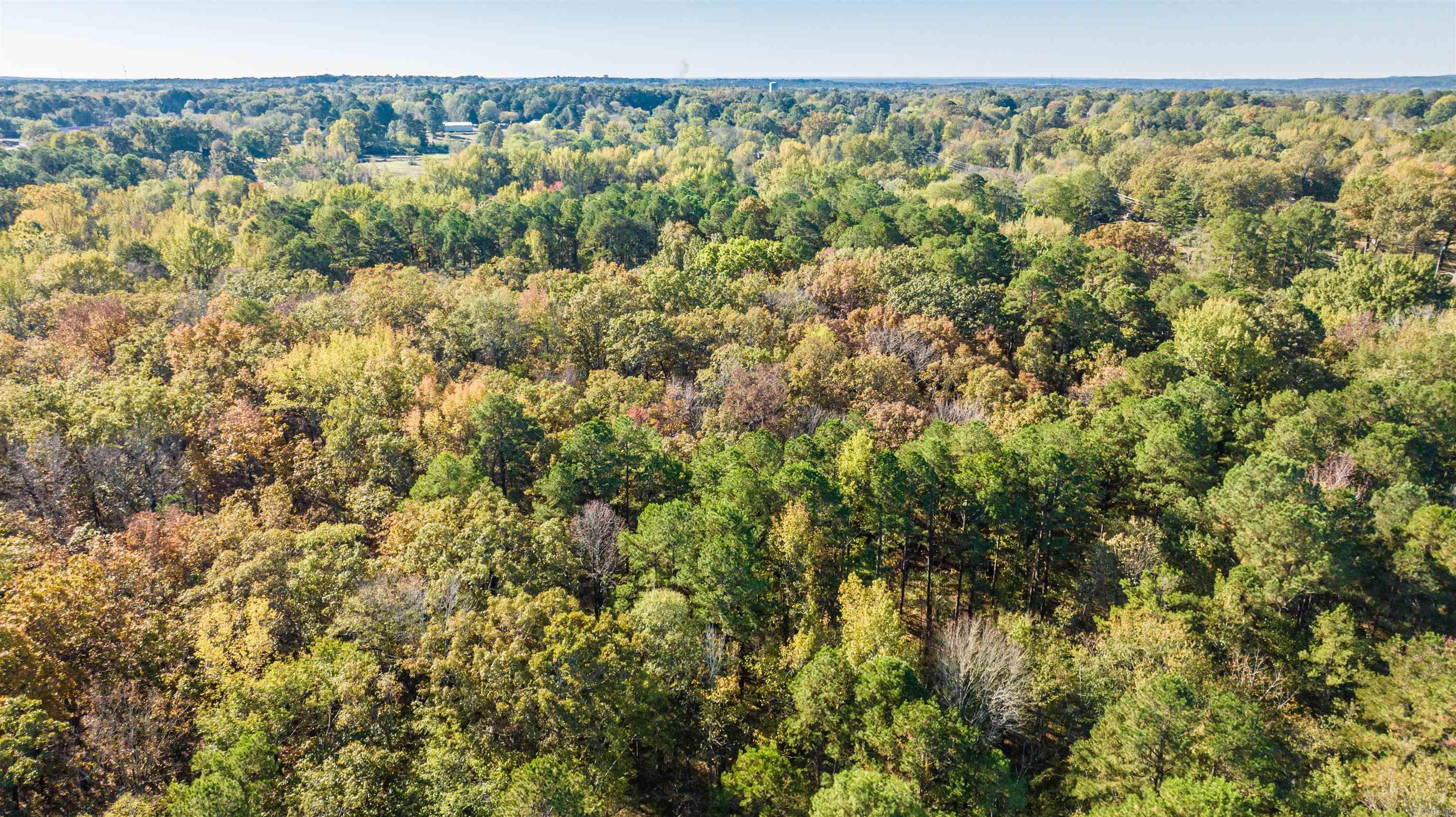 20 Acres Congo  Benton, AR