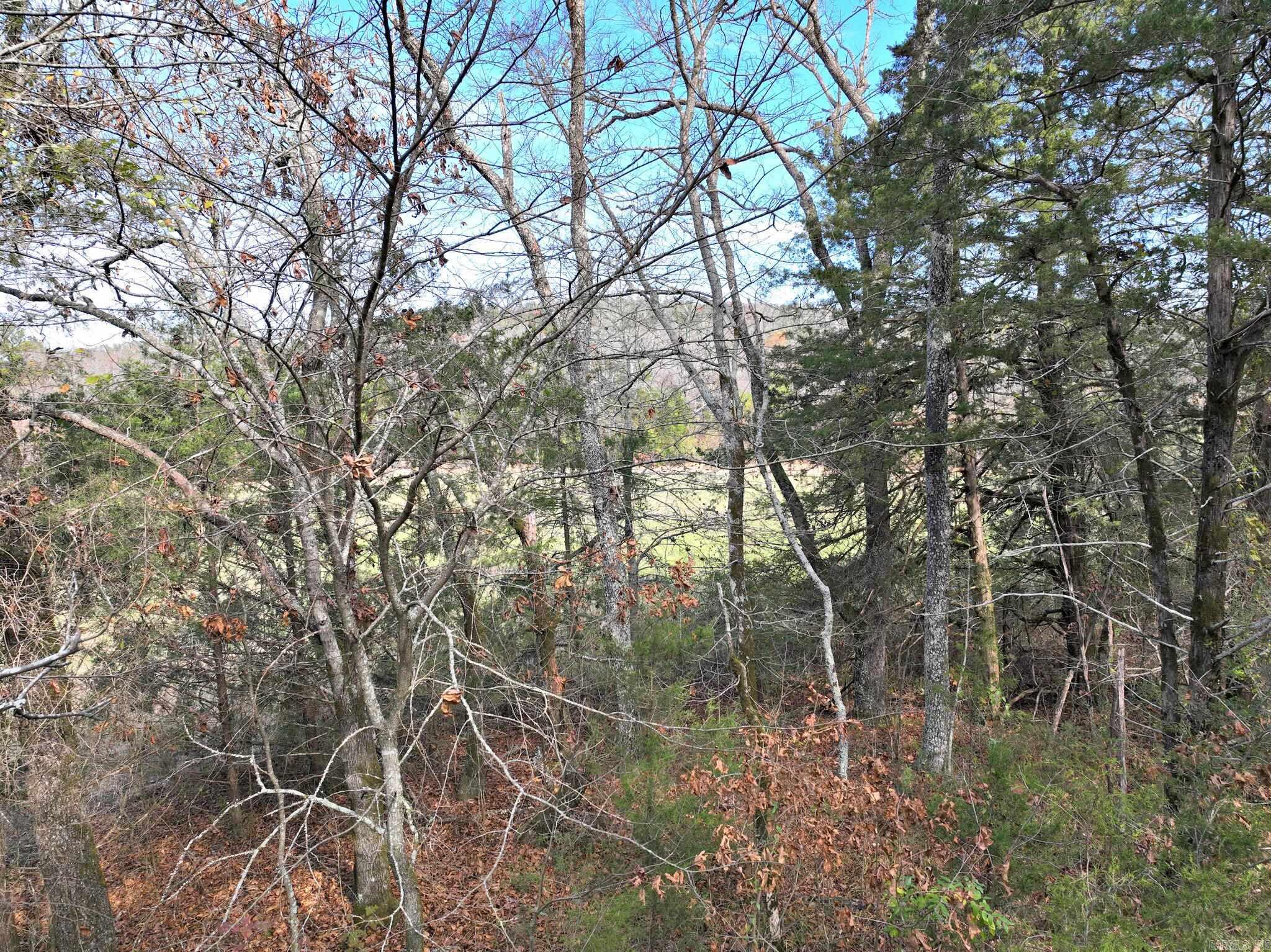 Tract 5 Acheson Lane  Mena, AR