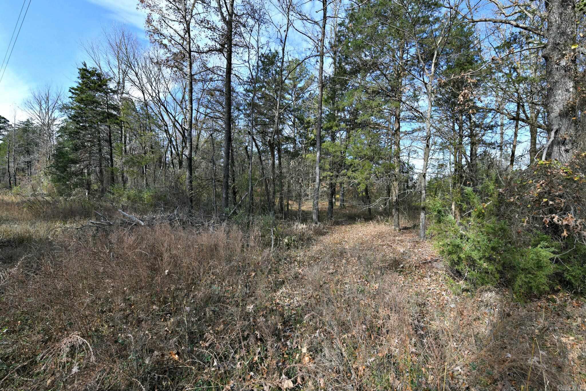 Tract 5 Acheson Lane  Mena, AR