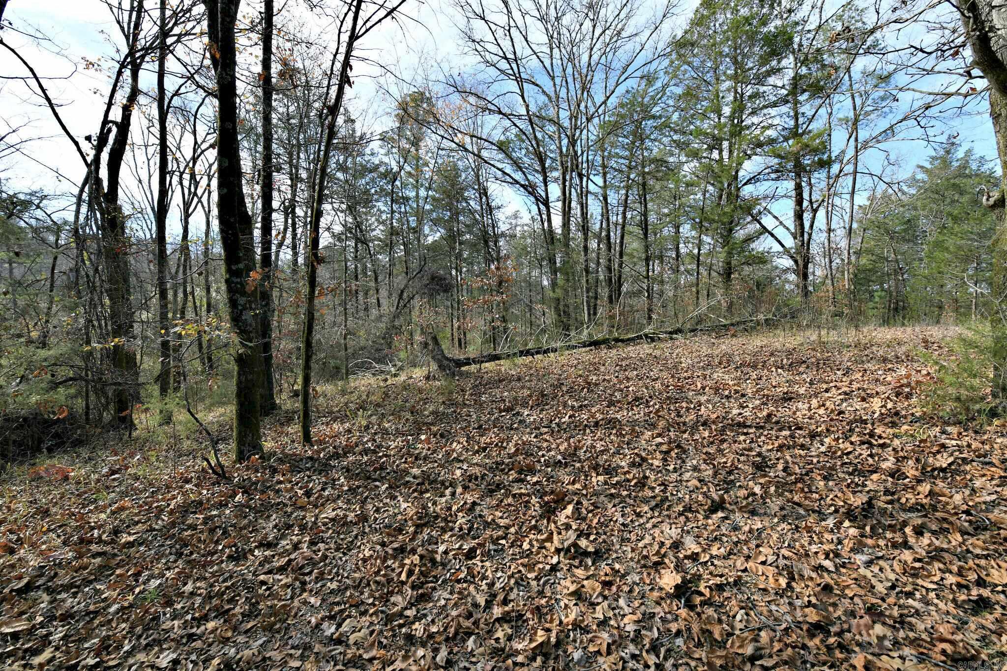 Tract 5 Acheson Lane  Mena, AR