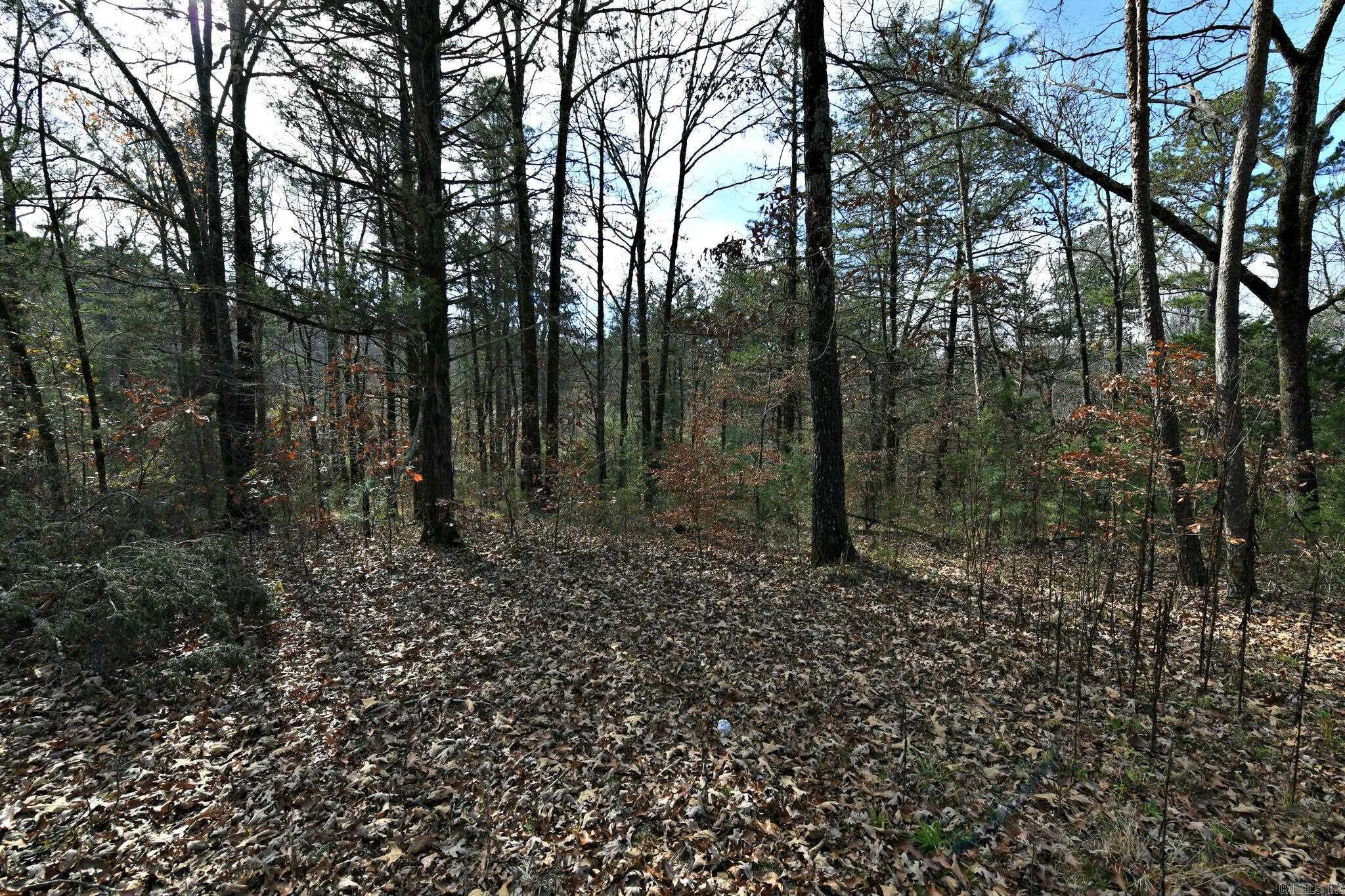 Tract 5 Acheson Lane  Mena, AR