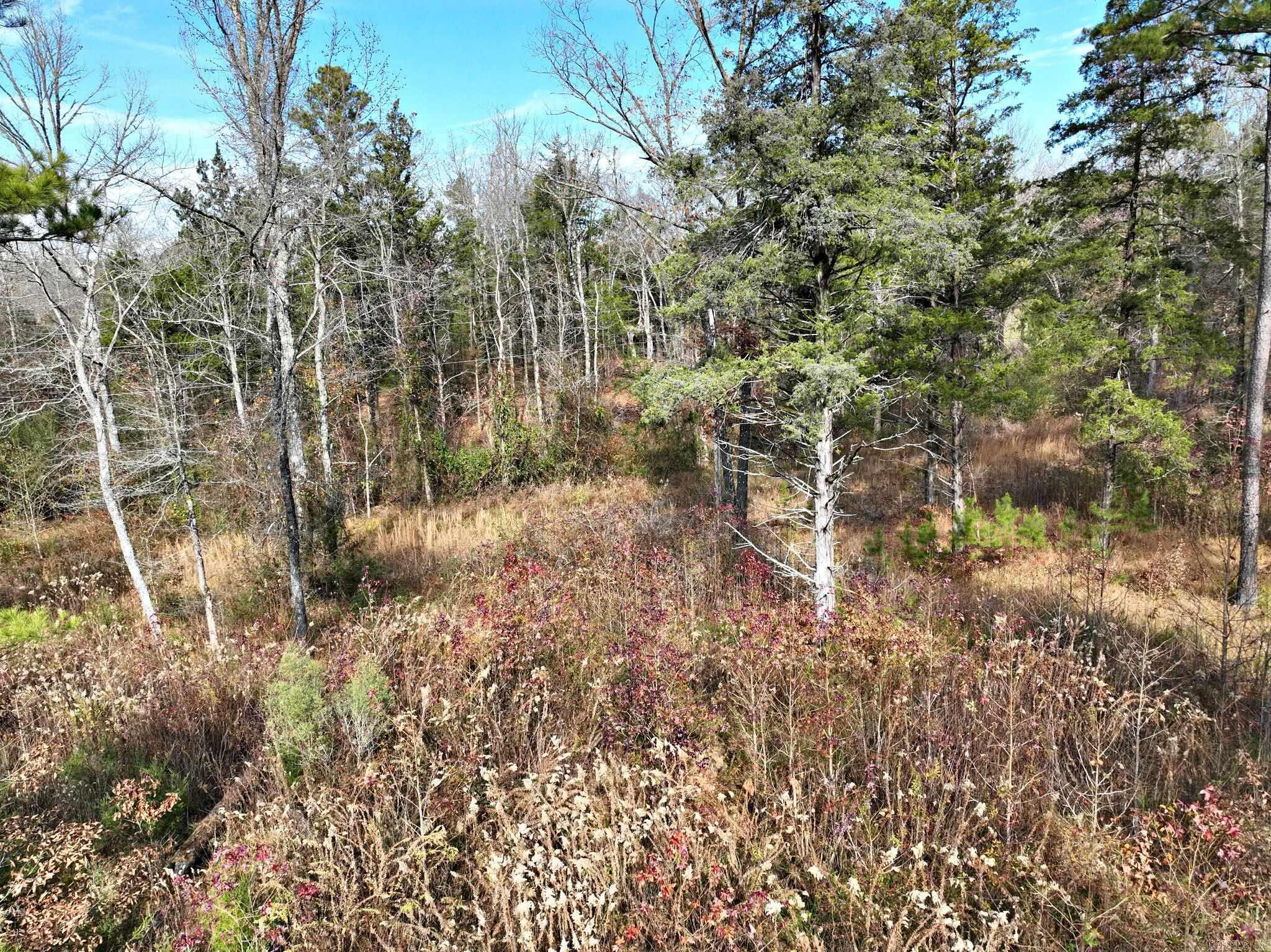 Tract 5 Acheson Lane  Mena, AR