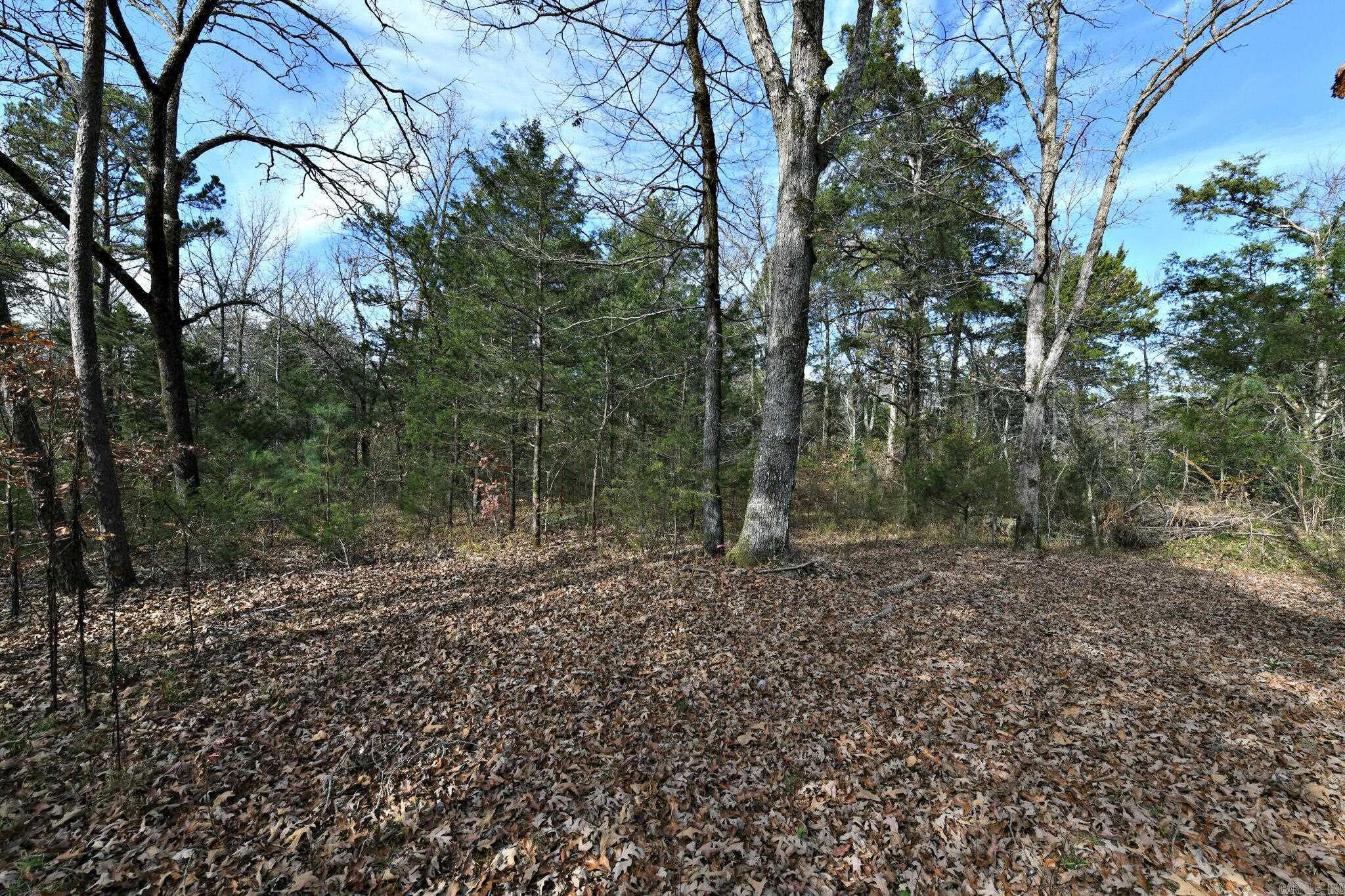 Tract 5 Acheson Lane  Mena, AR