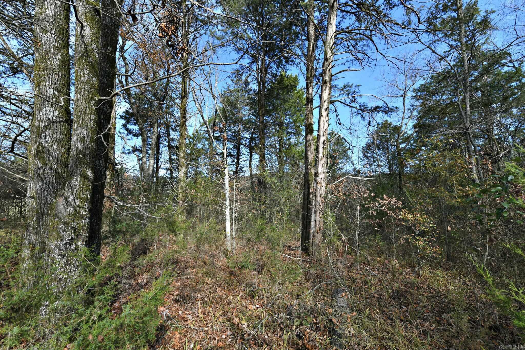 Tract 5 Acheson Lane  Mena, AR