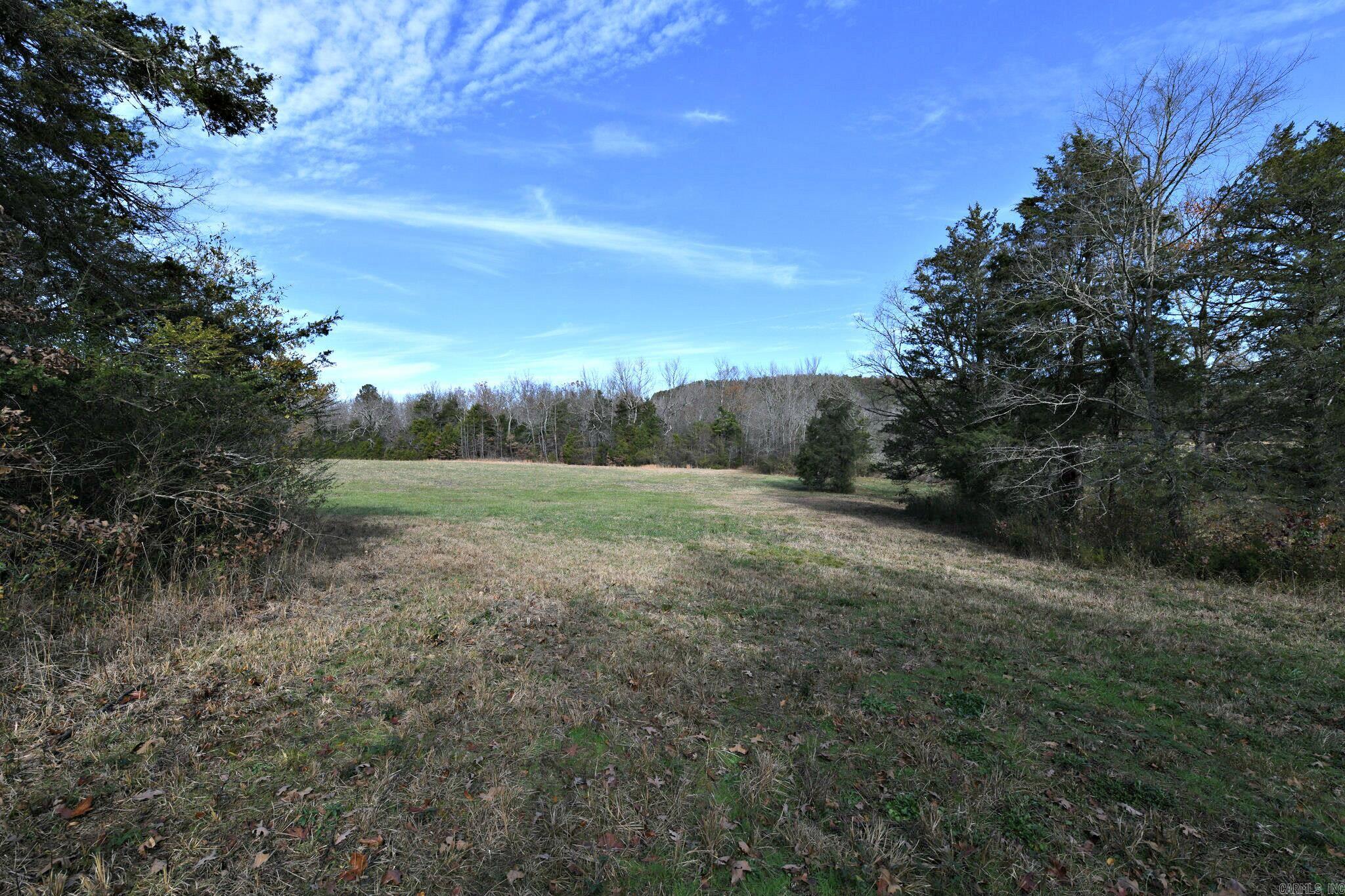 Tract 5 Acheson Lane  Mena, AR