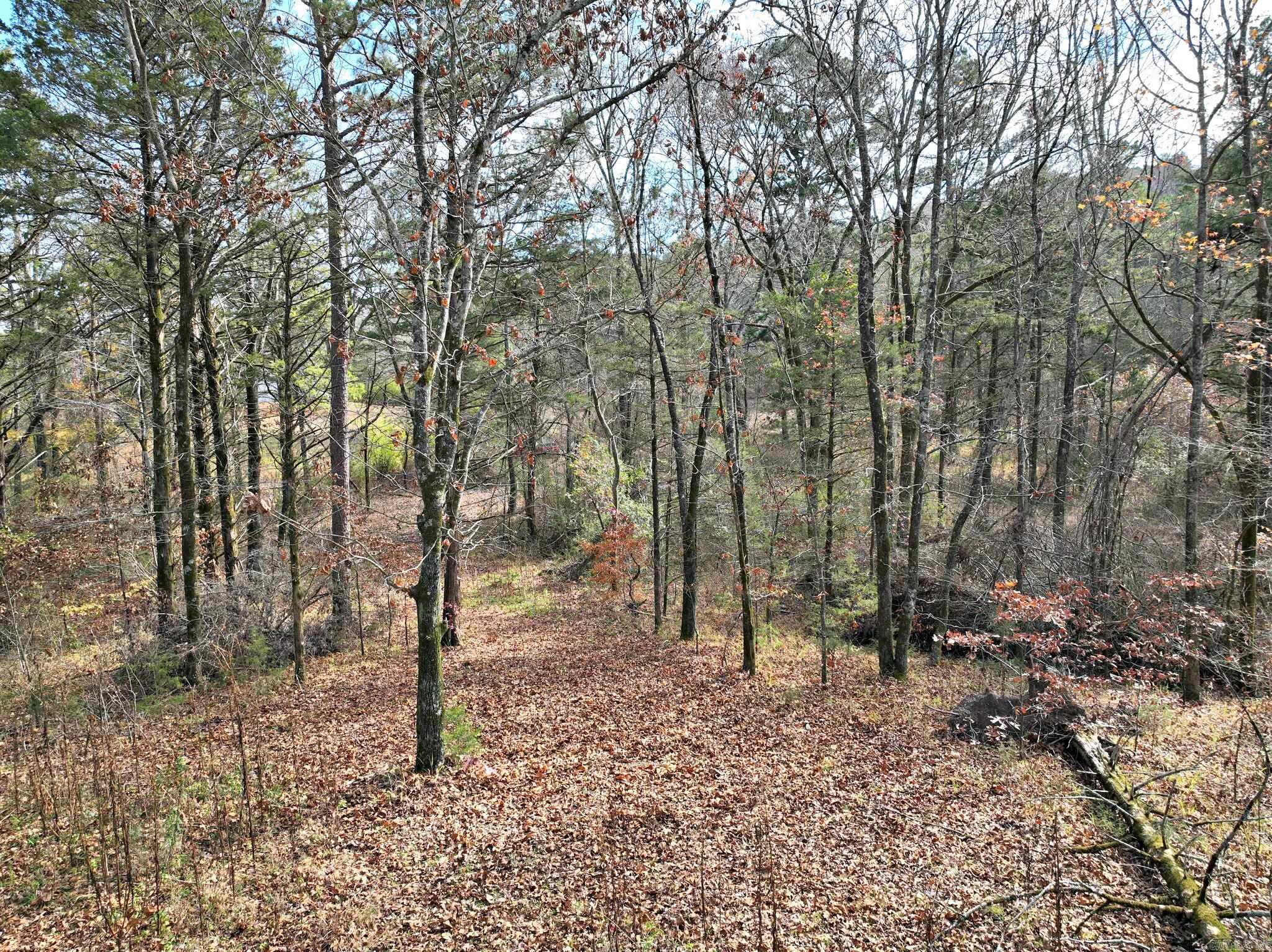 Tract 5 Acheson Lane  Mena, AR