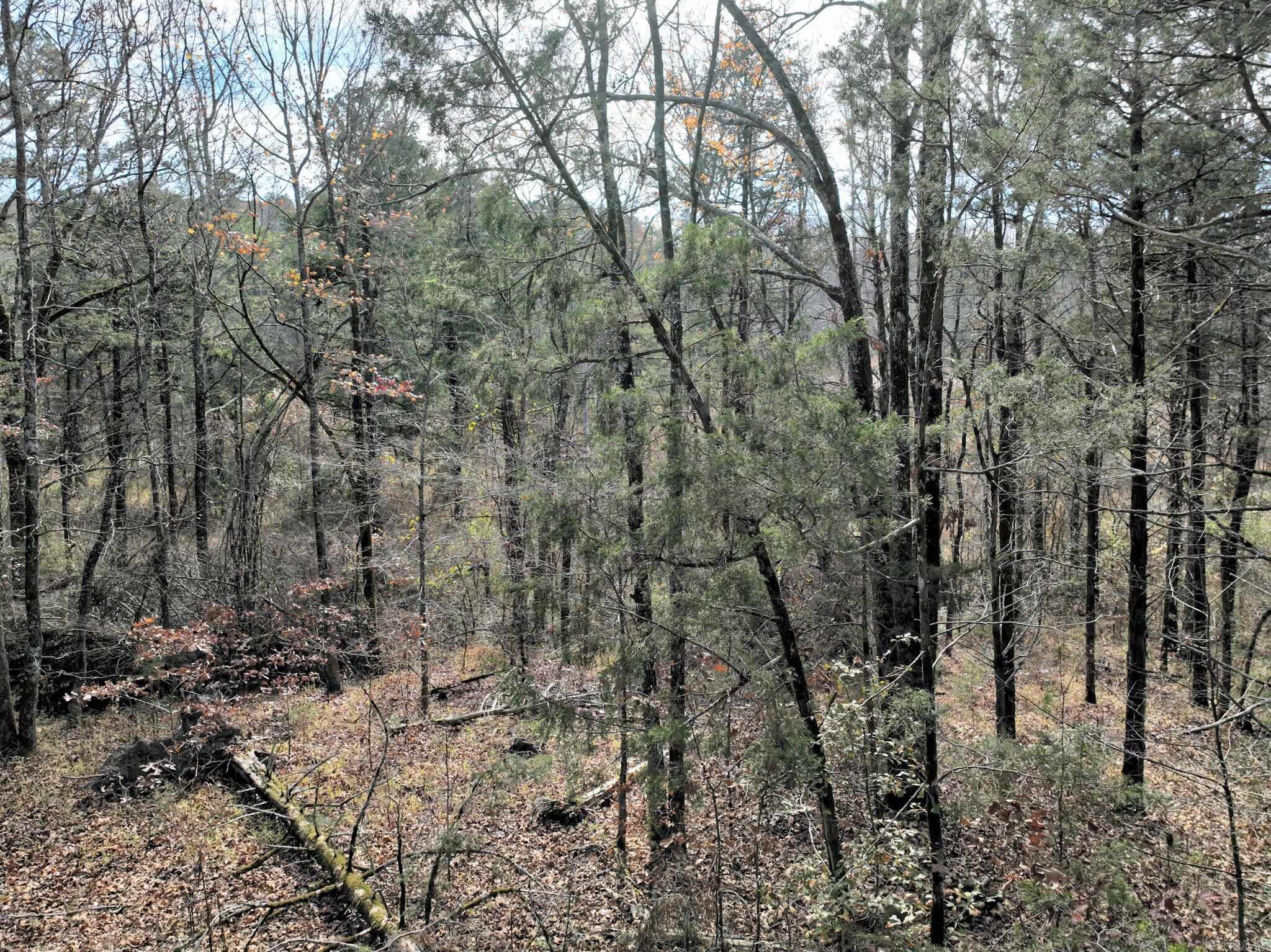 Tract 5 Acheson Lane  Mena, AR