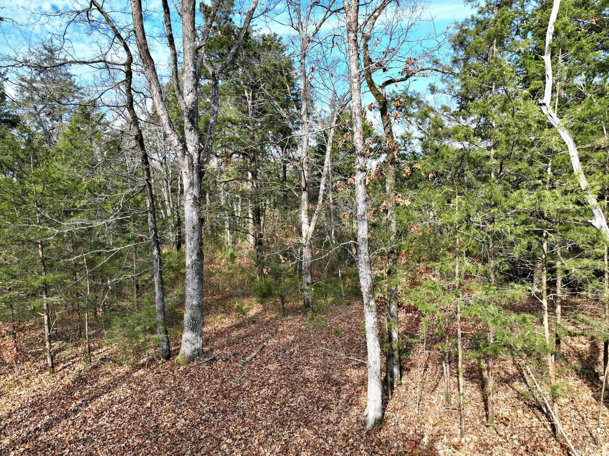 Tract 5 Acheson Lane  Mena, AR