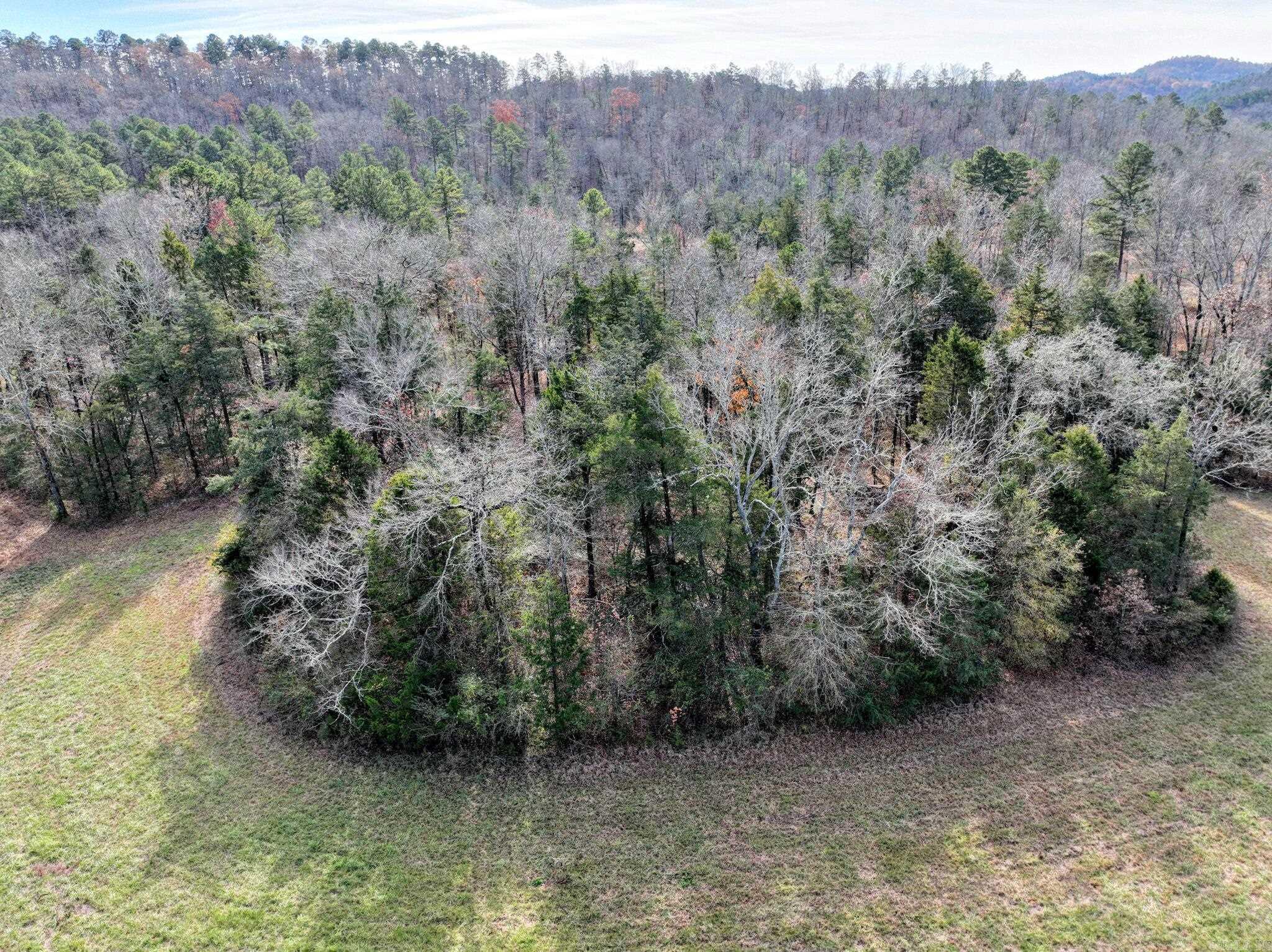 Tract 5 Acheson Lane  Mena, AR