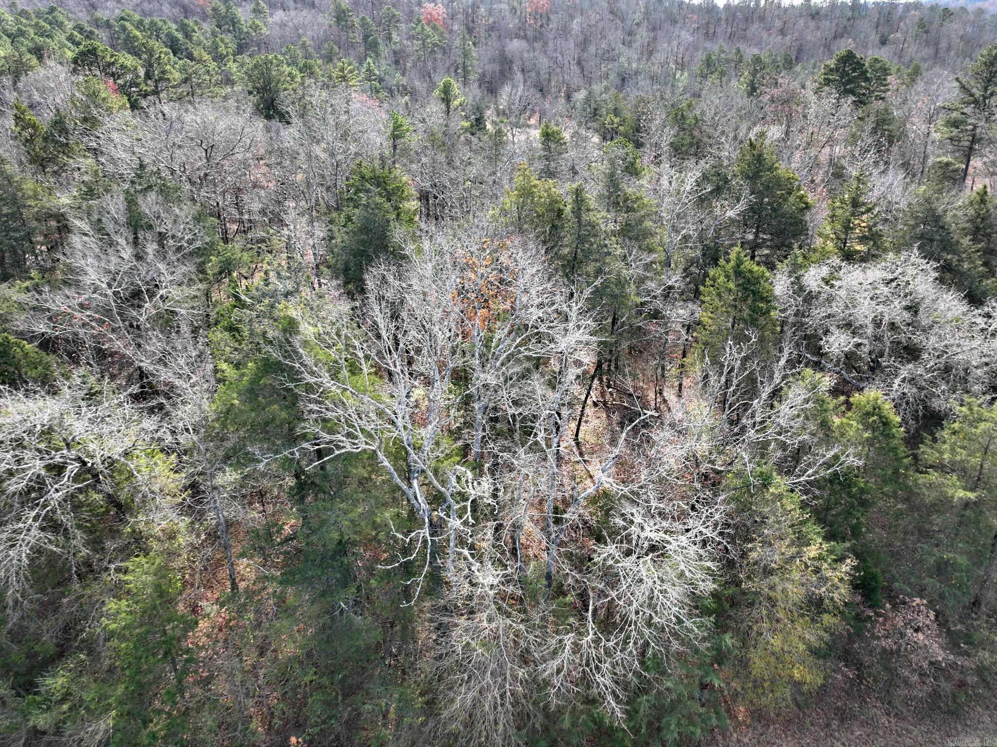 Tract 5 Acheson Lane  Mena, AR