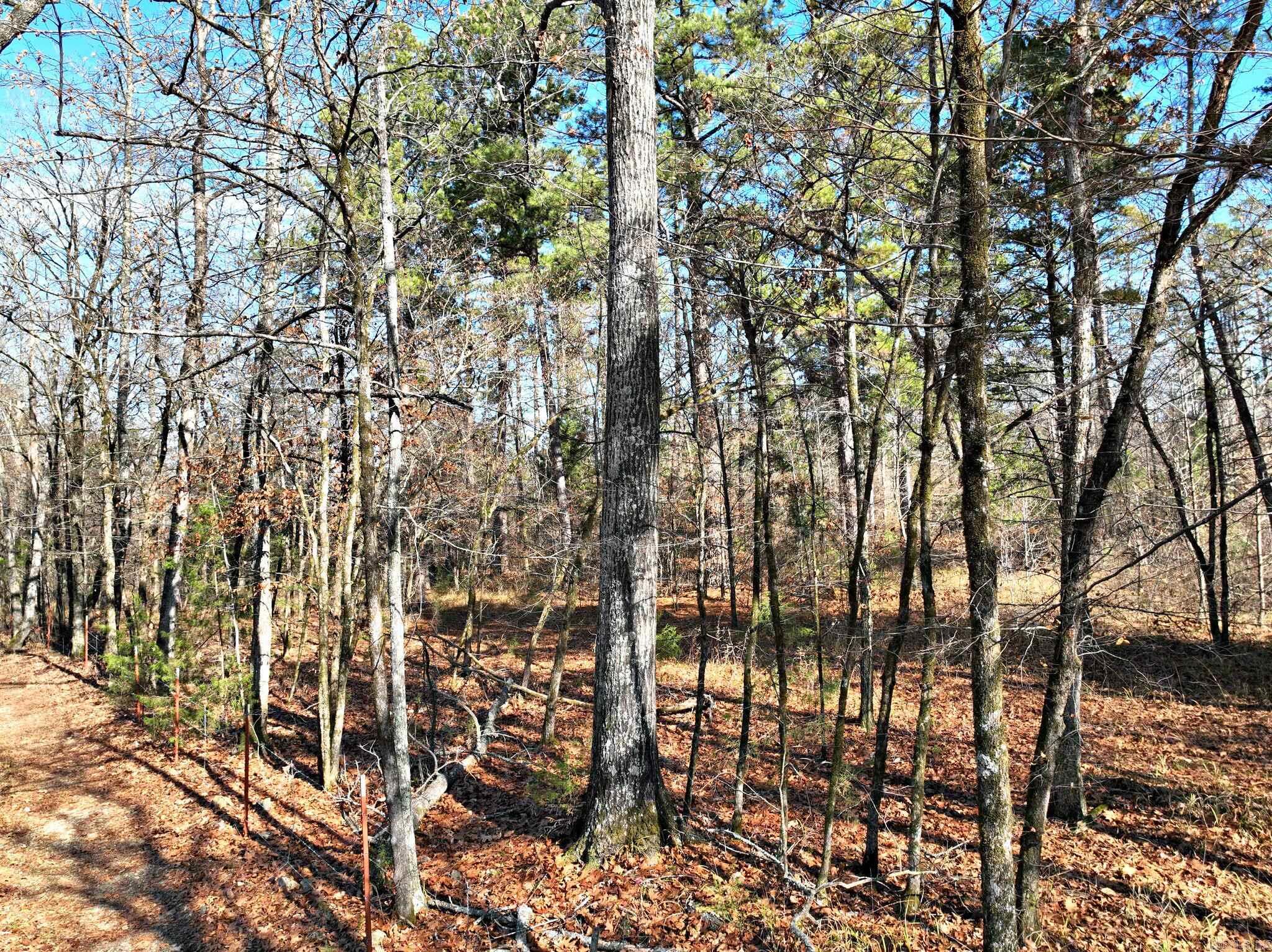 Tract 3 Highway 8 E  Mena, AR