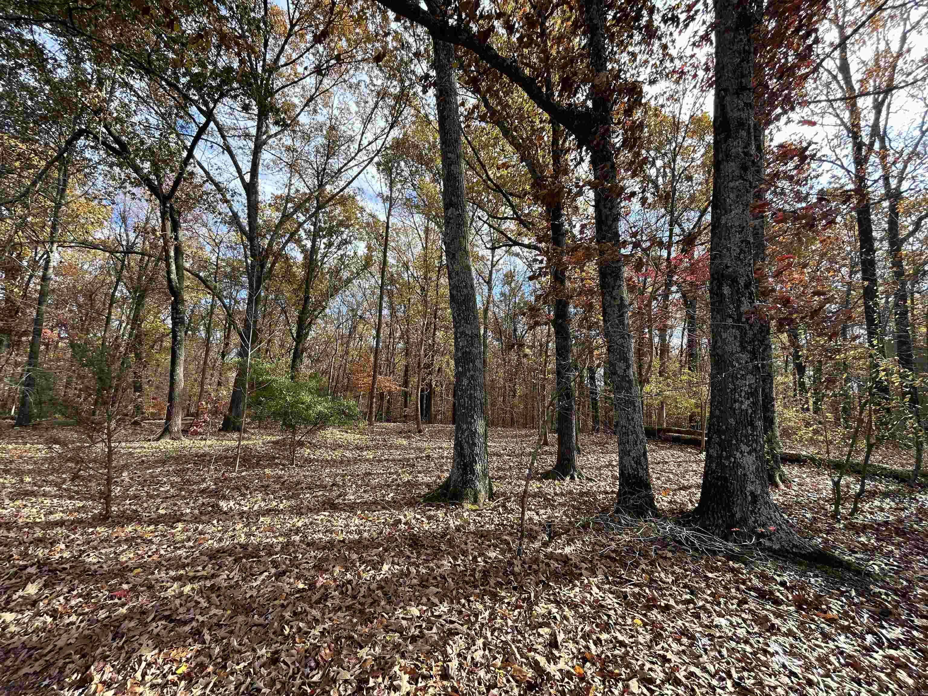  County Rd 308  Forrest City, AR