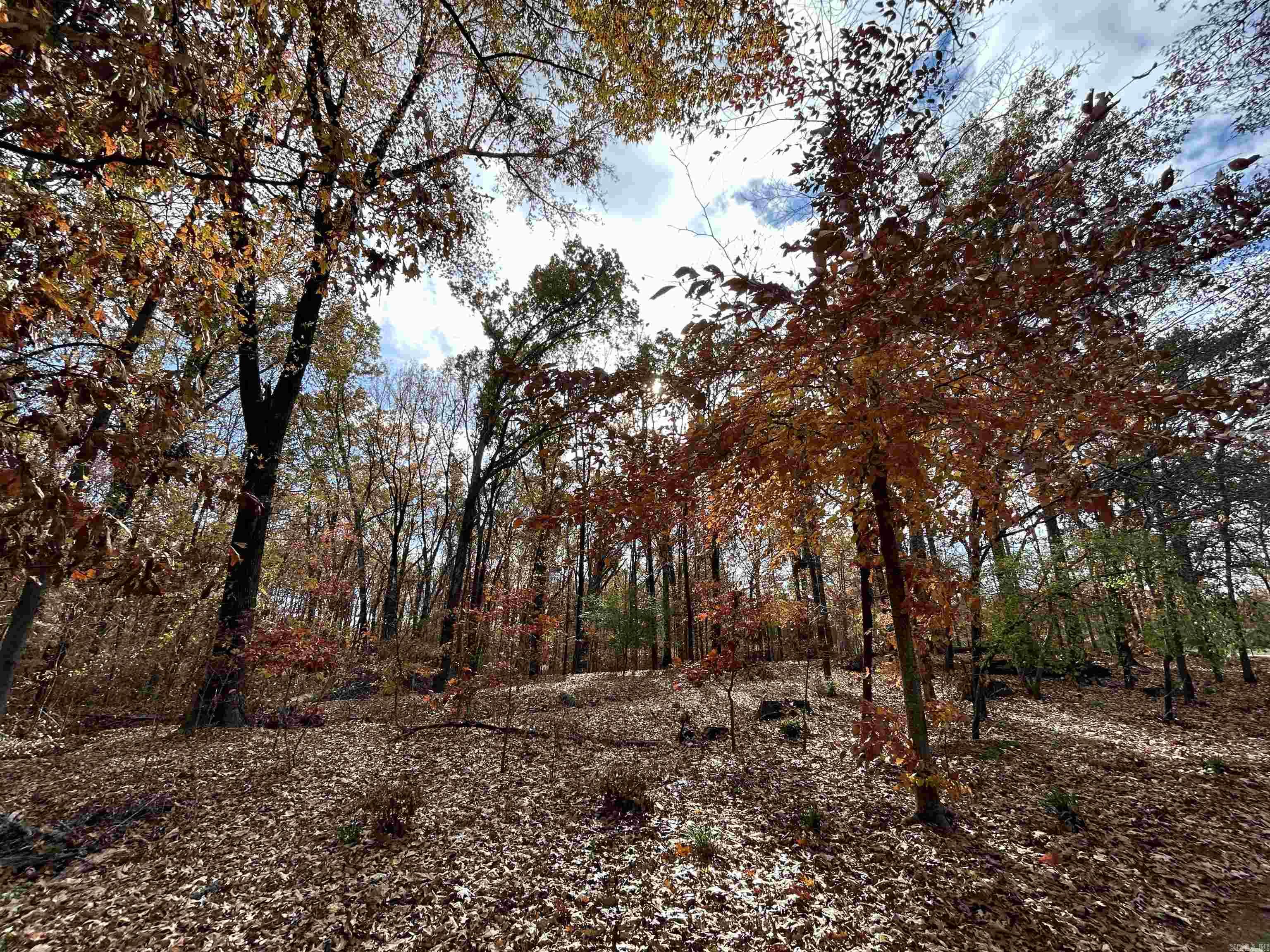  County Rd 308  Forrest City, AR