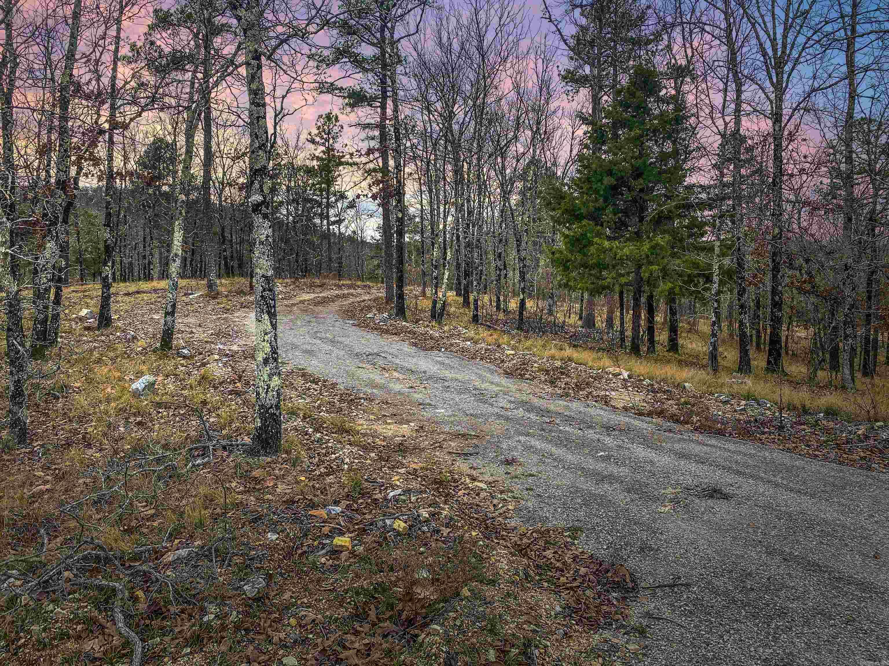 000 Shorthorn  Hot Springs, AR