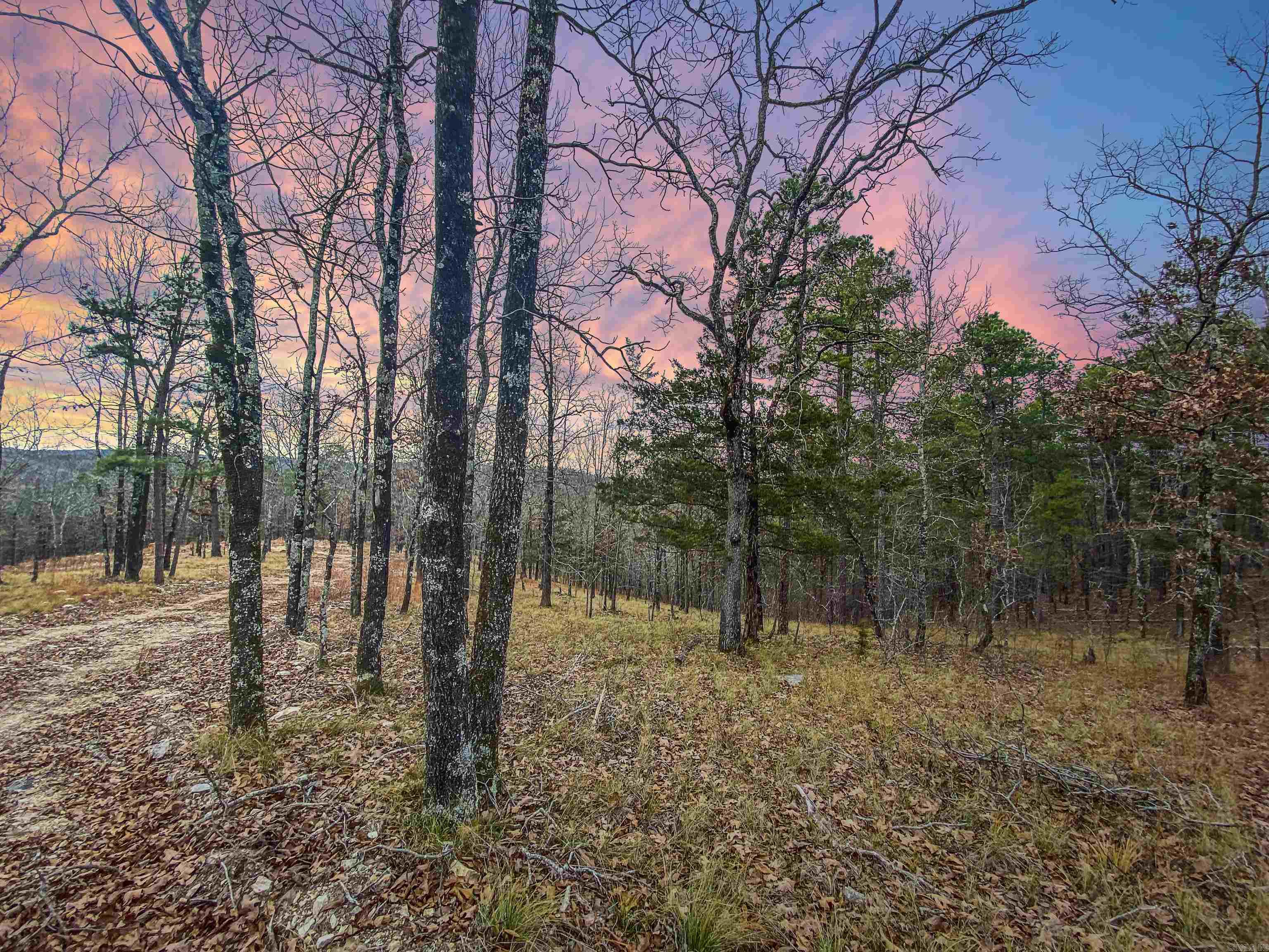 000 Shorthorn  Hot Springs, AR