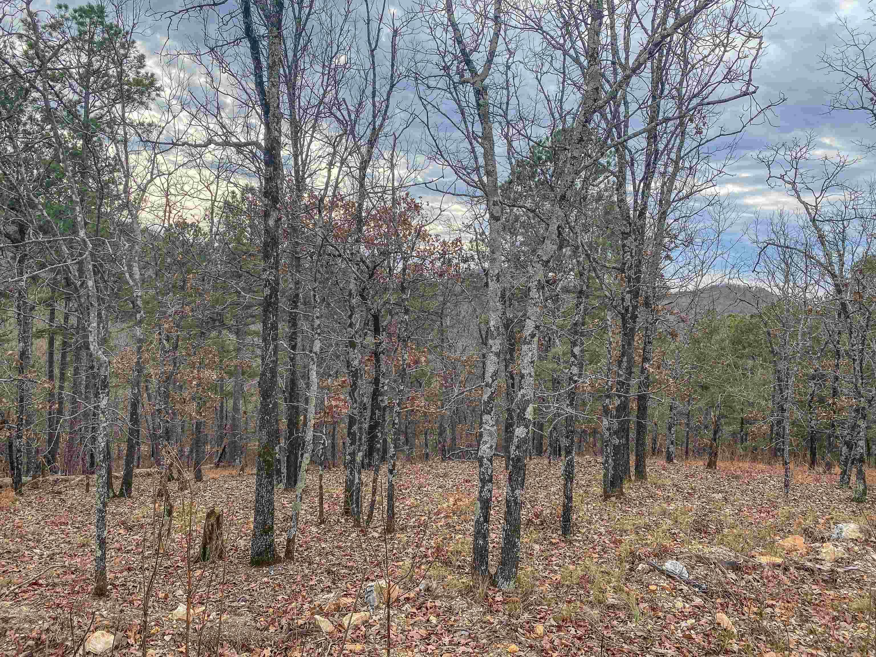 000 Shorthorn  Hot Springs, AR