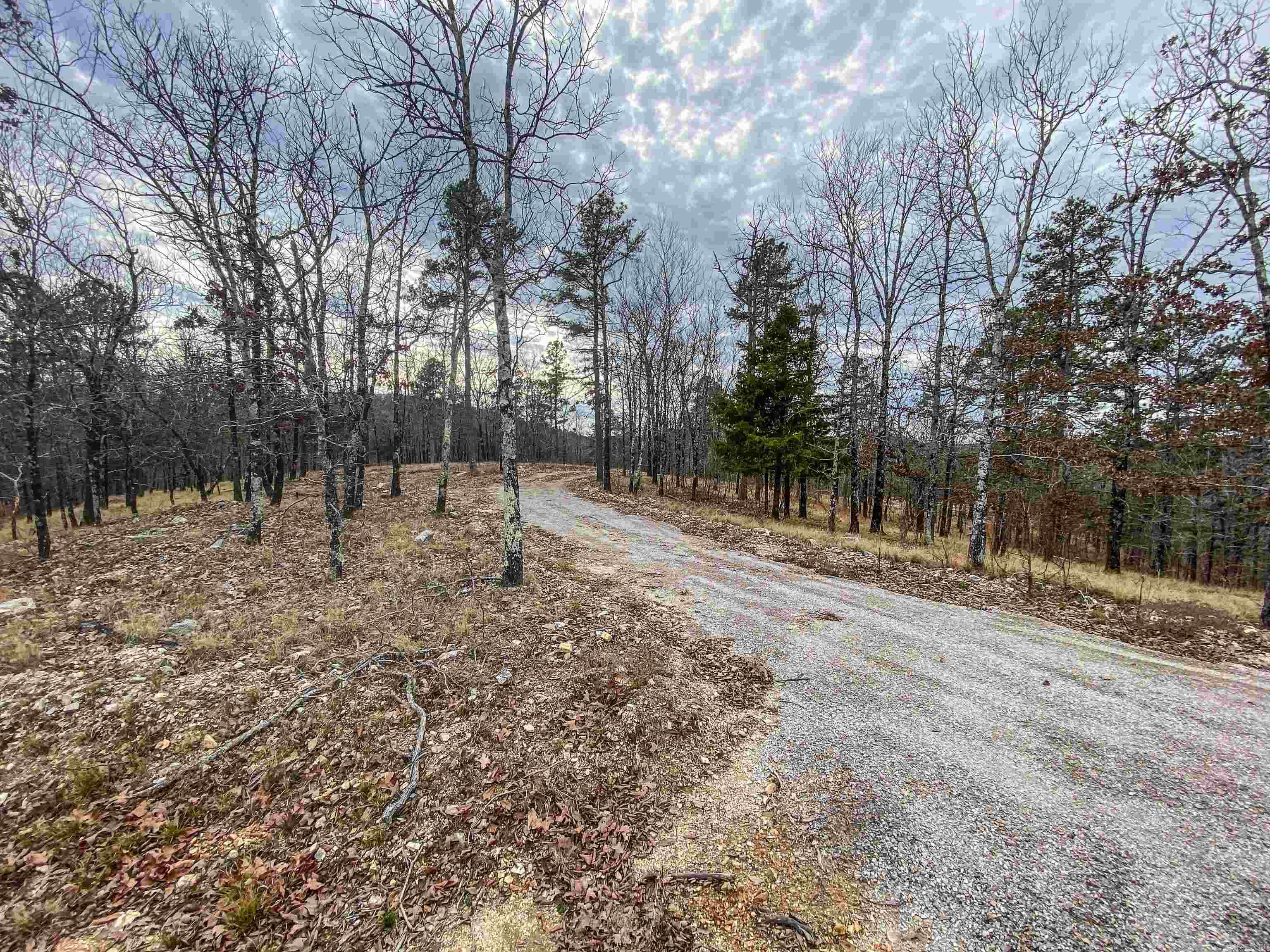 000 Shorthorn  Hot Springs, AR