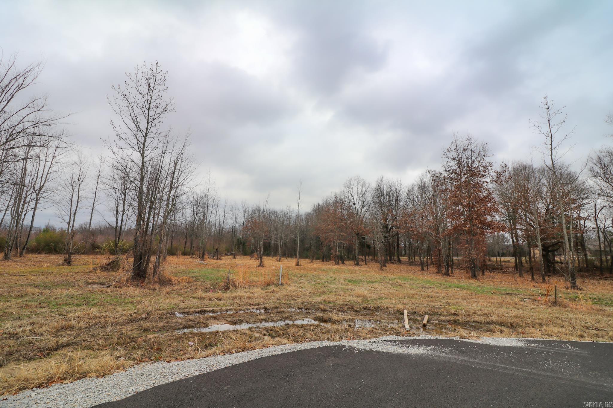 Lot 3 Diamond Valley  Jonesboro, AR