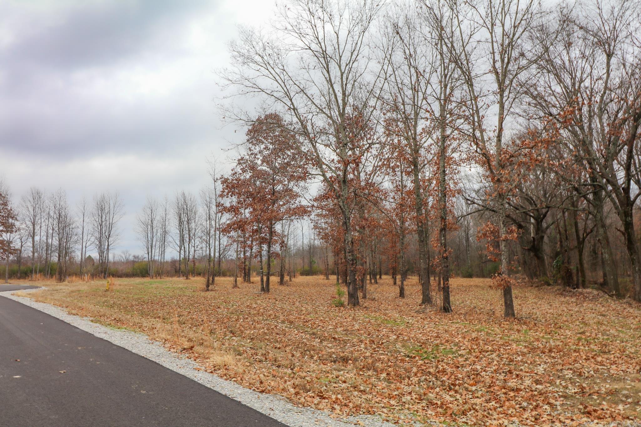 Lot 3 Diamond Valley  Jonesboro, AR