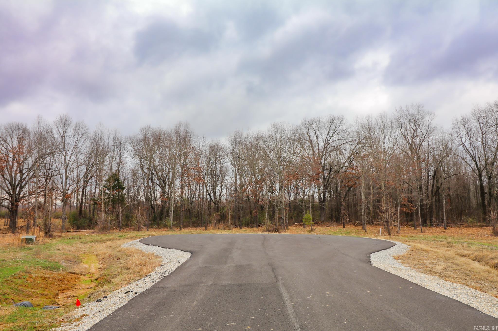 Lot 3 Diamond Valley  Jonesboro, AR