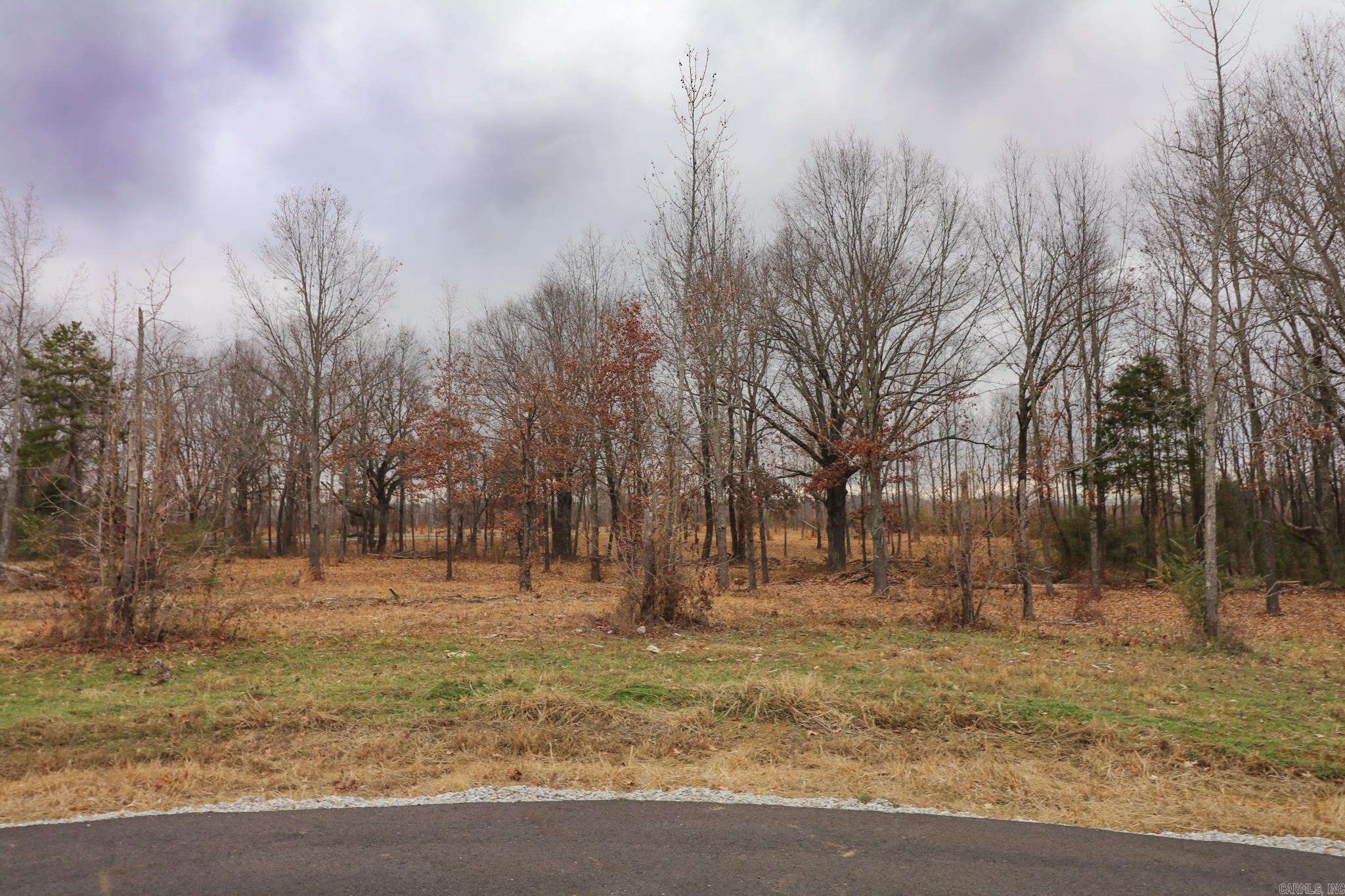Lot 3 Diamond Valley  Jonesboro, AR