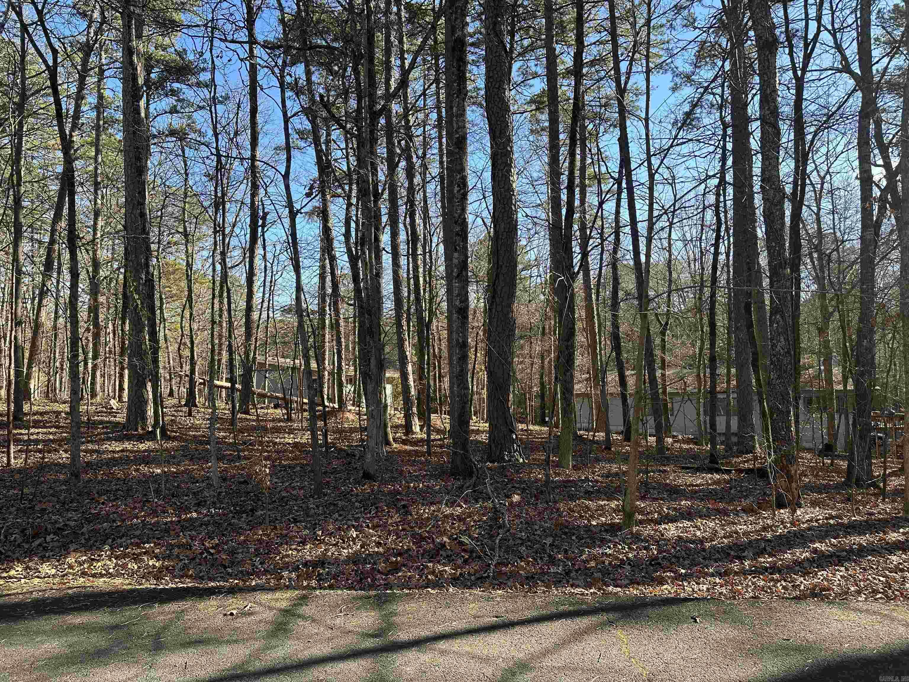  Palacio  Hot Springs Village, AR