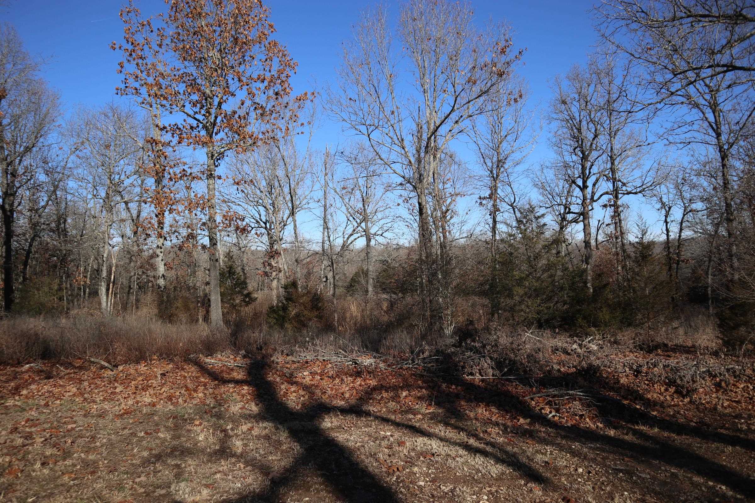 509 Spoon Dr  Horseshoe Bend, AR