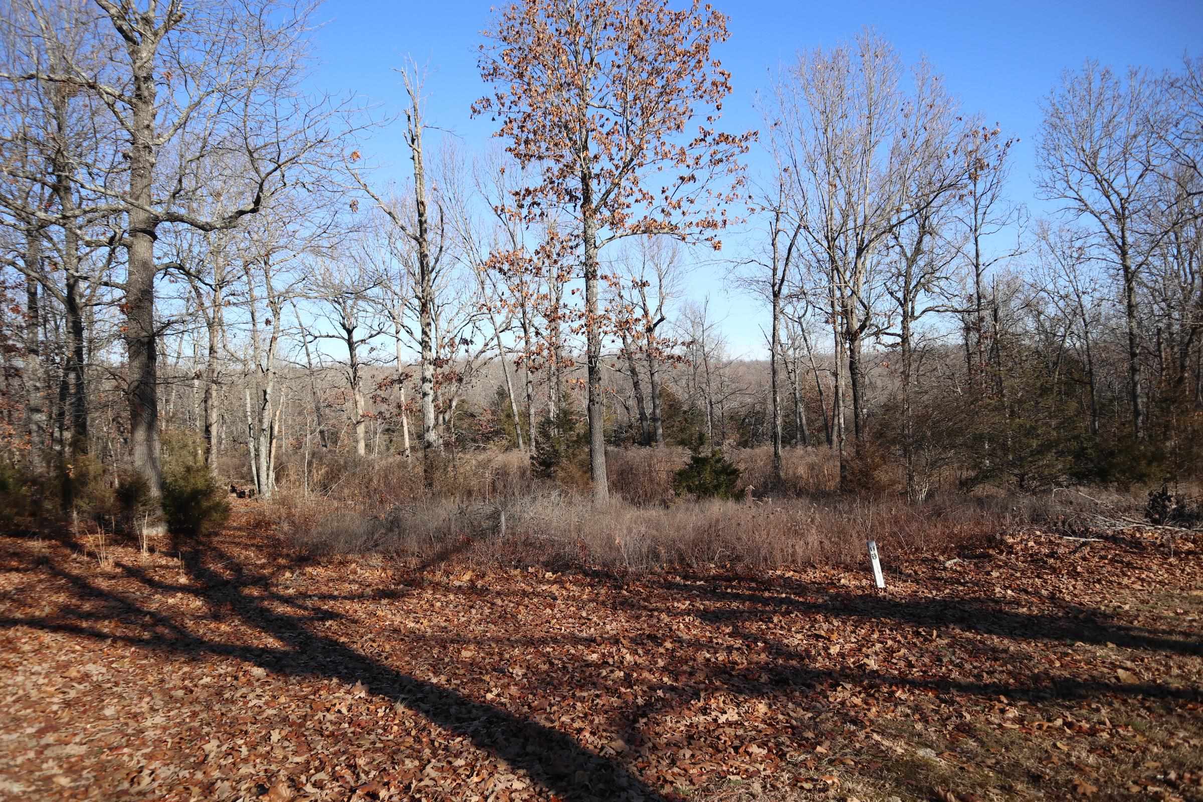 509 Spoon Dr  Horseshoe Bend, AR