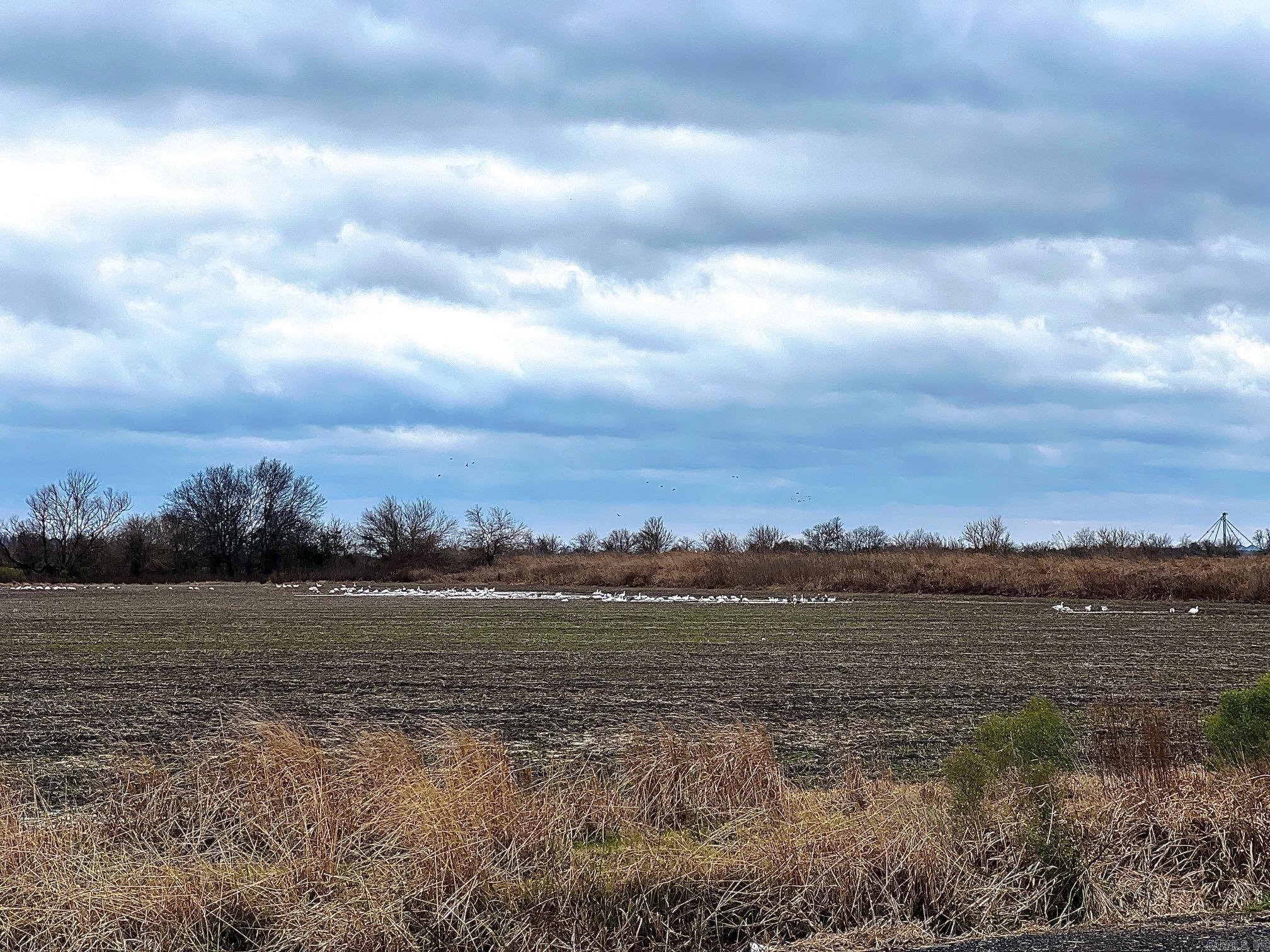 000 HWY 79  Stuttgart, AR