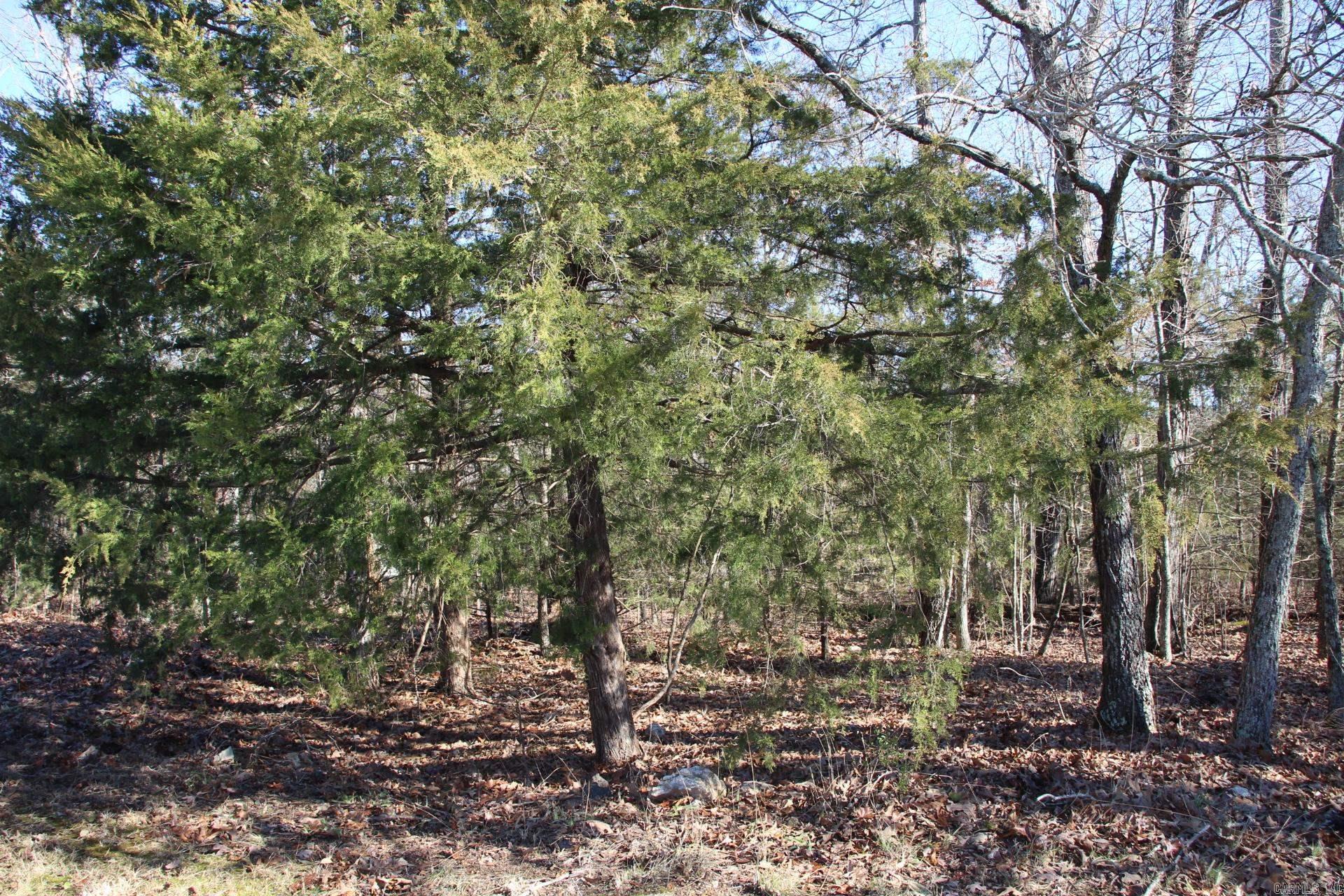 760-25375-000 Versailles  Bull Shoals, AR