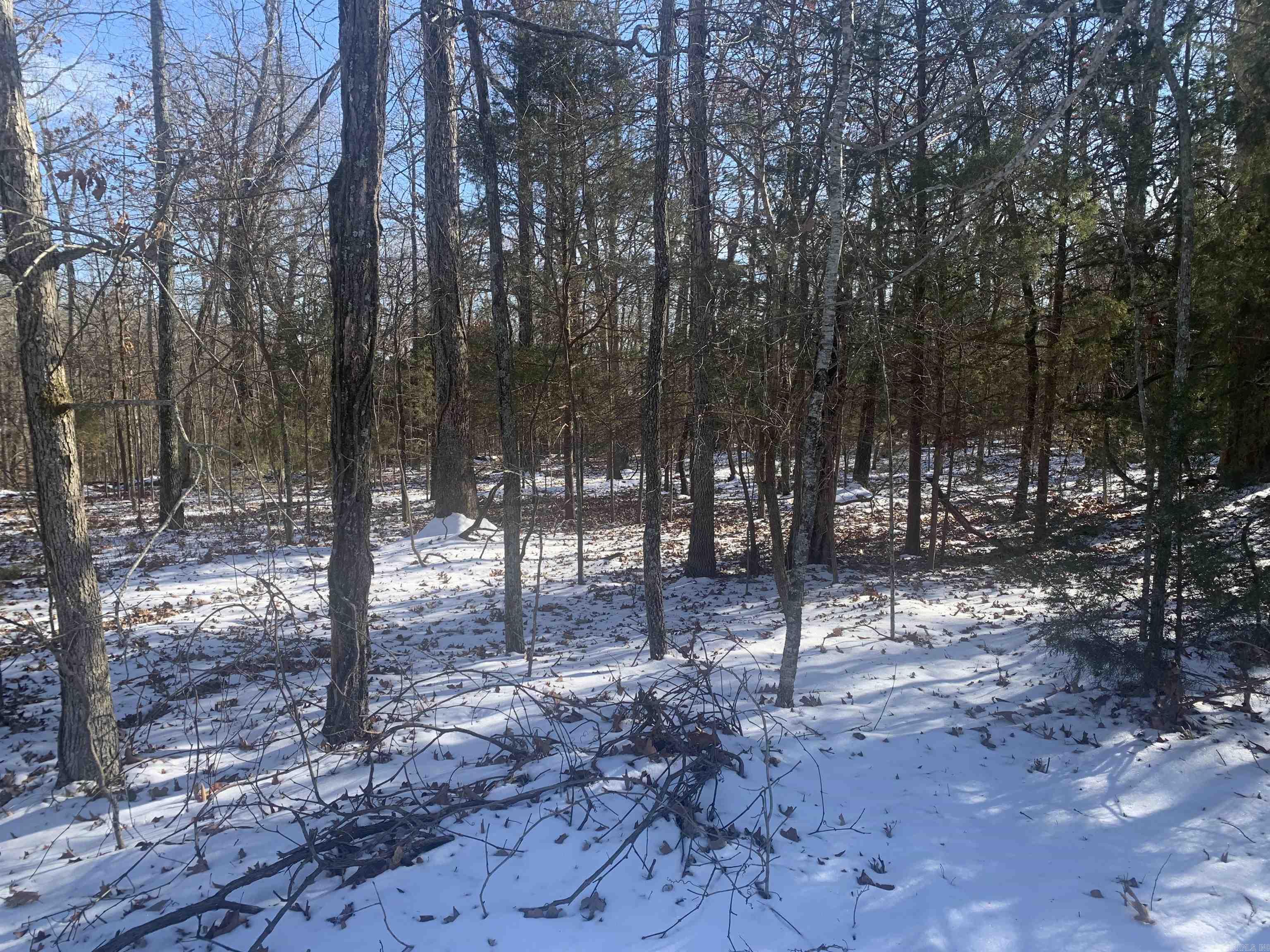 760-25375-000 Versailles  Bull Shoals, AR