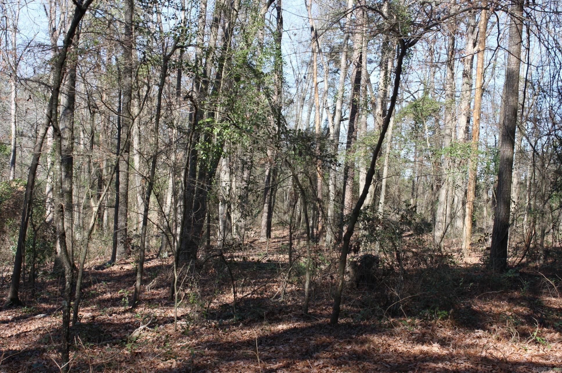  Fox Run  Nashville, AR