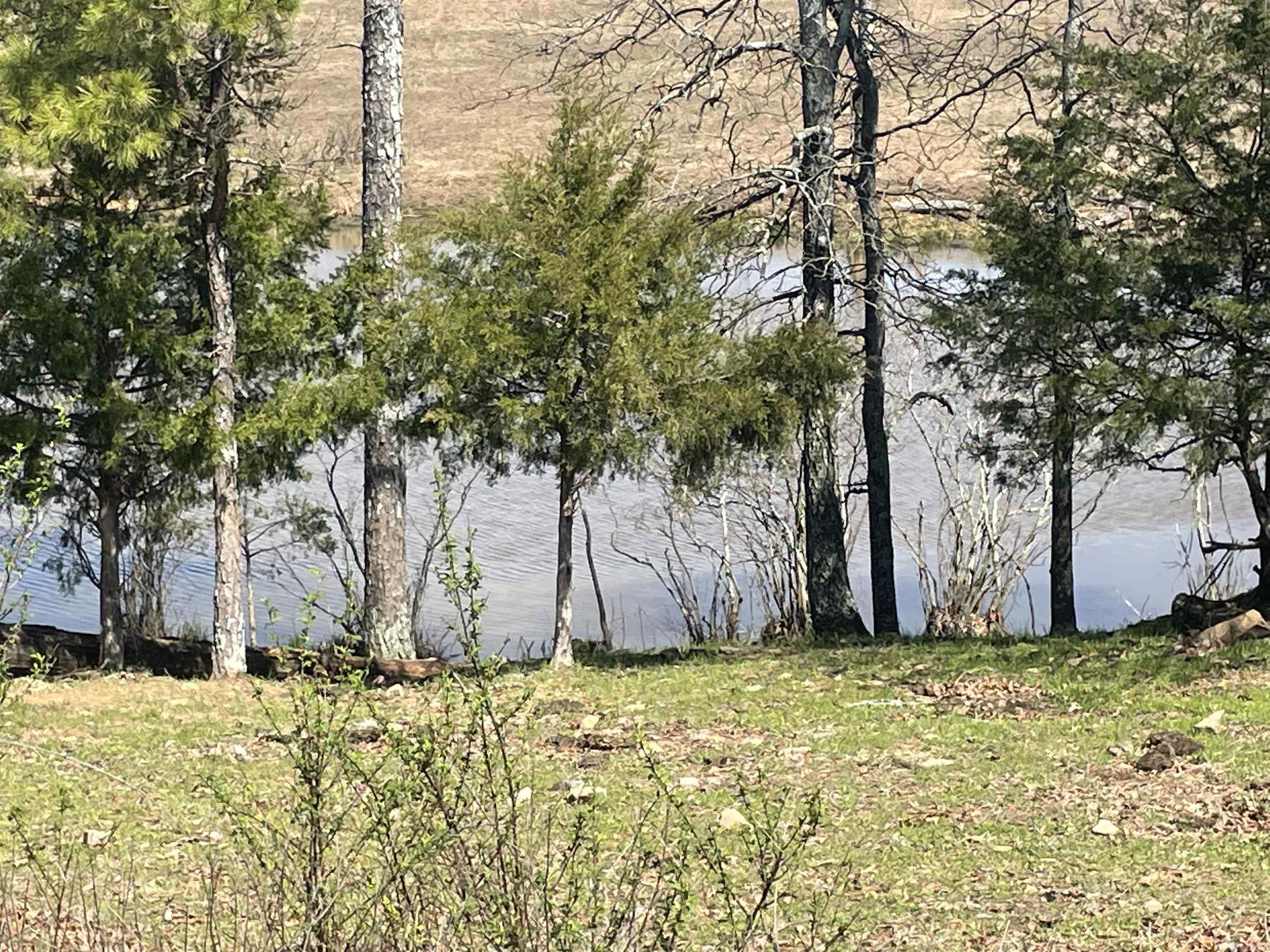 935 lot 23 goff  Quitman, AR