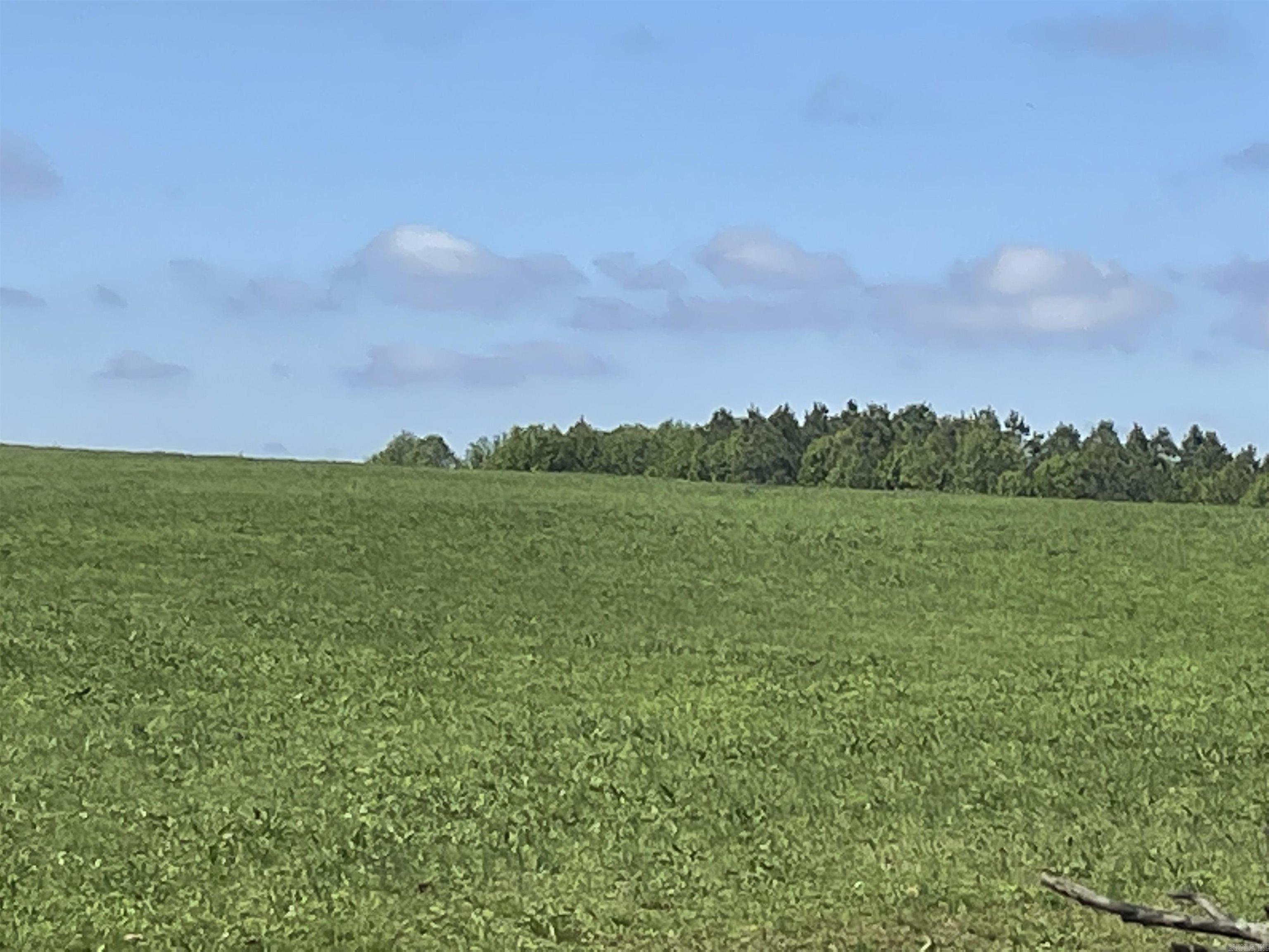 935 lot 24 goff  Quitman, AR