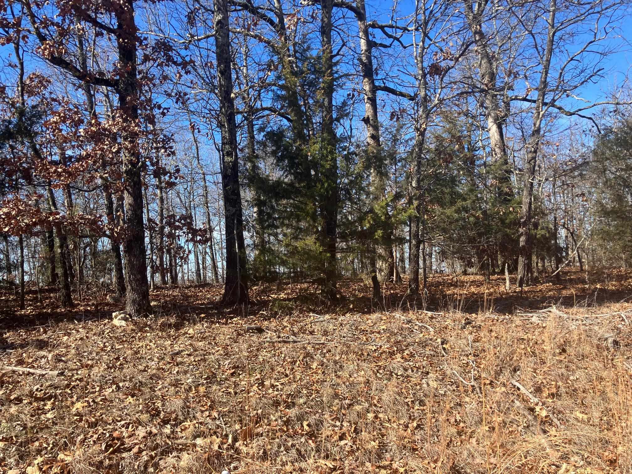 605 Lone Oak Road  Williford, AR