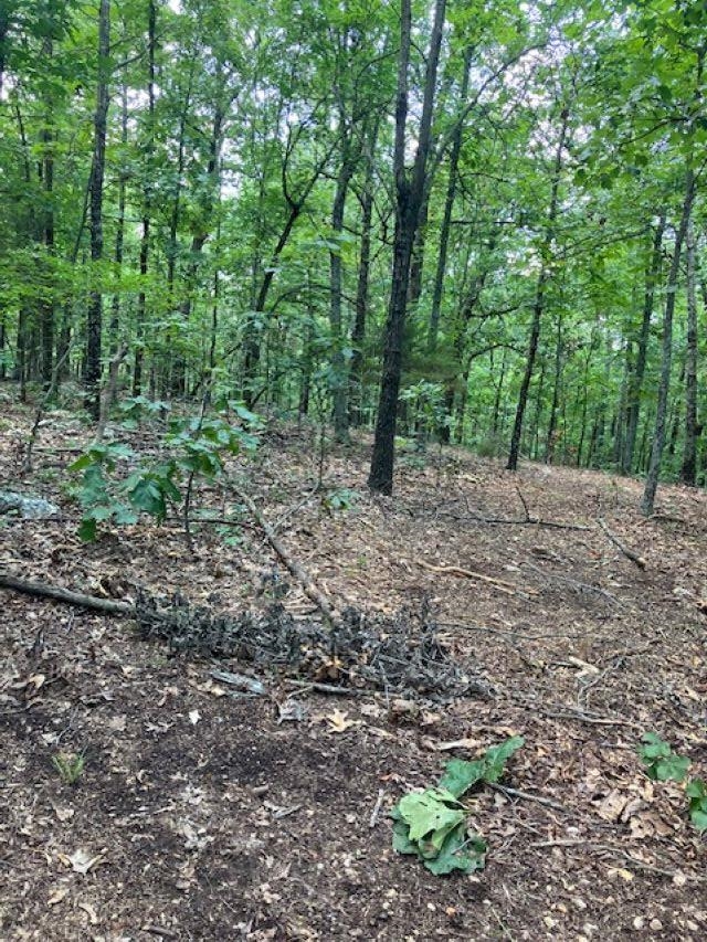 605 Lone Oak Road  Williford, AR