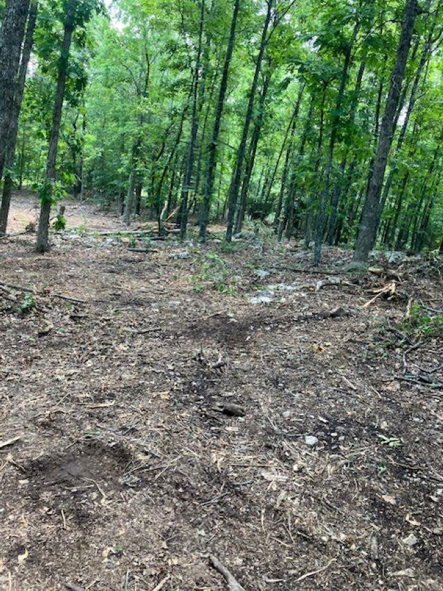 605 Lone Oak Road  Williford, AR