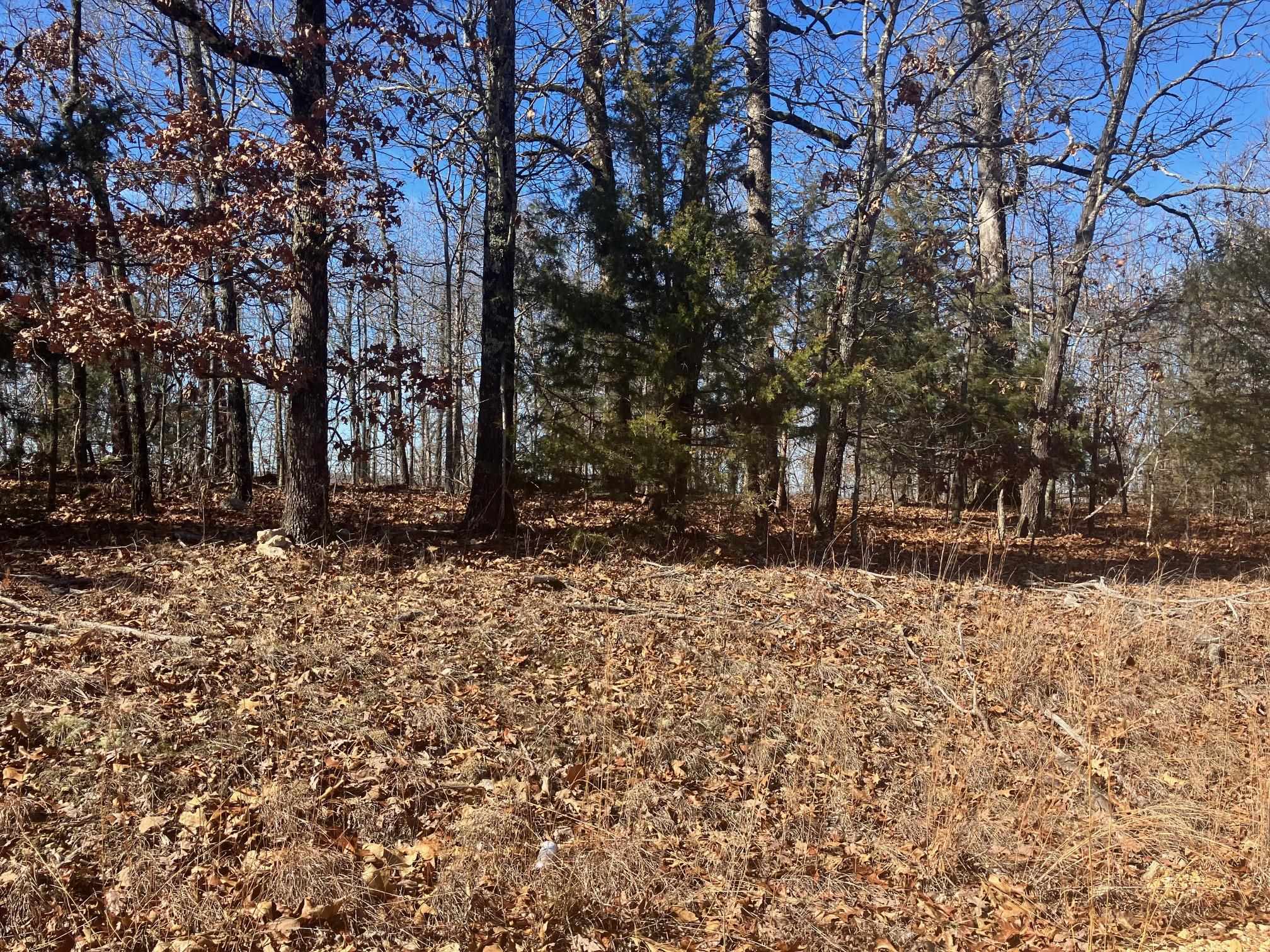 605 Lone Oak Road  Williford, AR