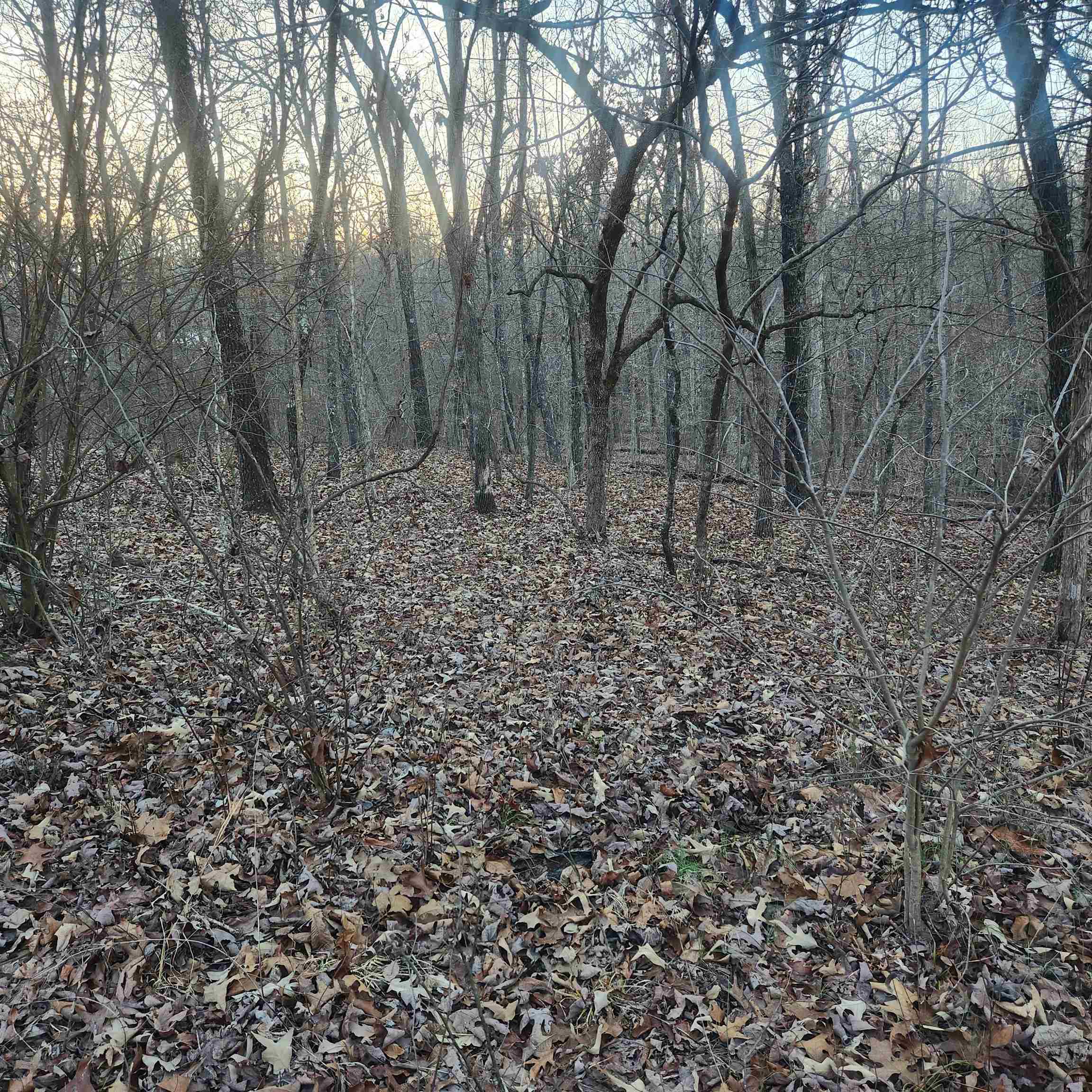 L-08, B-24 Piegan  Cherokee Village, AR