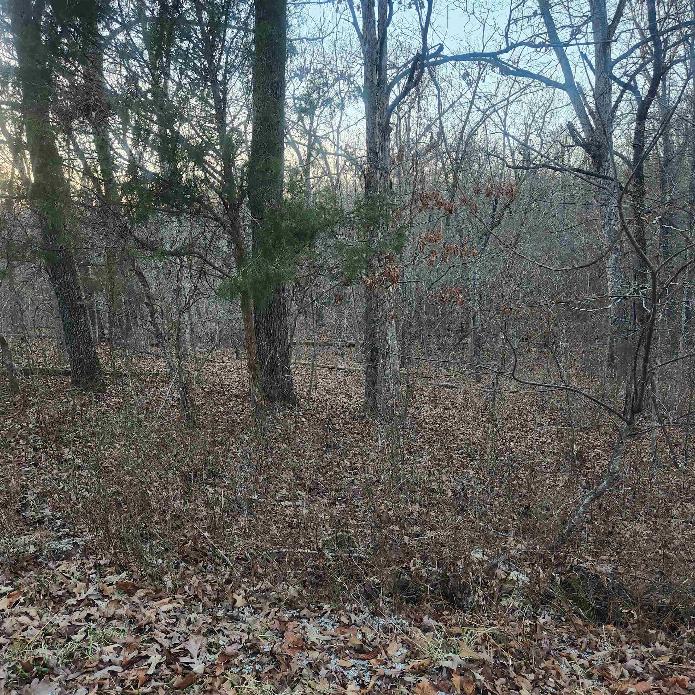 L-08, B-24 Piegan  Cherokee Village, AR