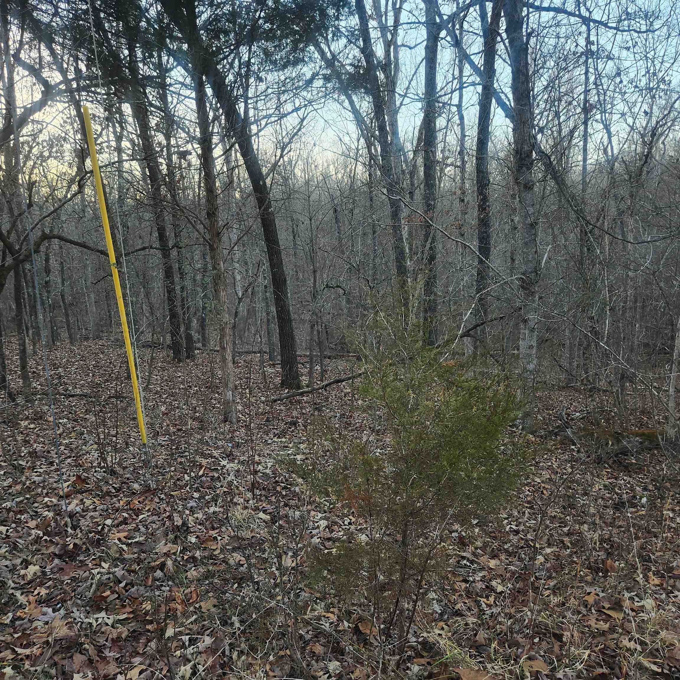 L-08, B-24 Piegan  Cherokee Village, AR