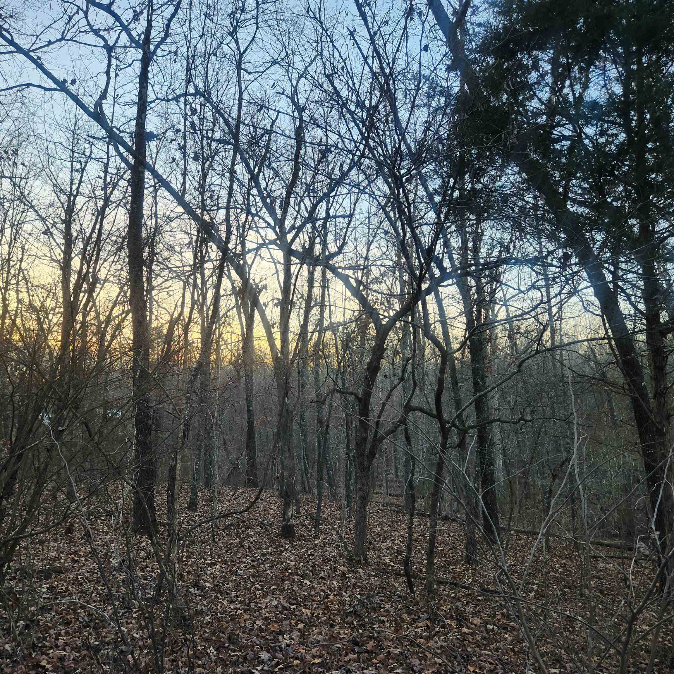 L-08, B-24 Piegan  Cherokee Village, AR