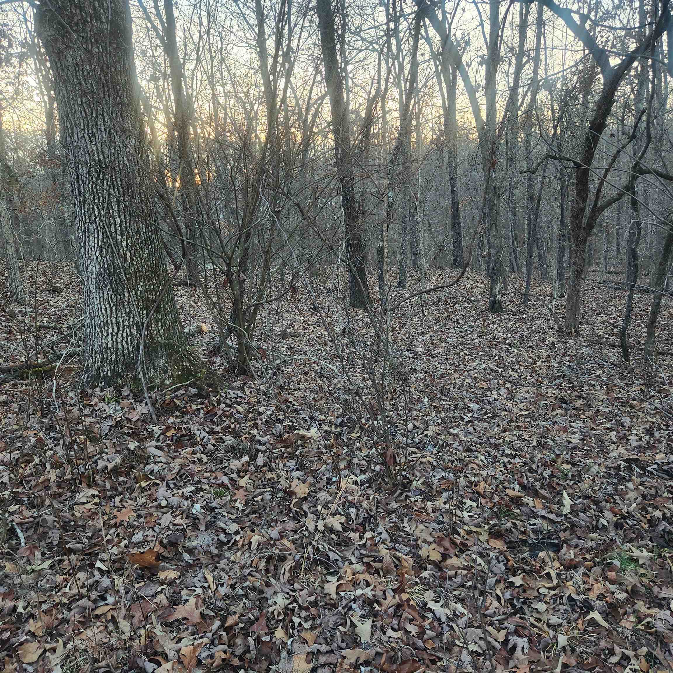 L-08, B-24 Piegan  Cherokee Village, AR