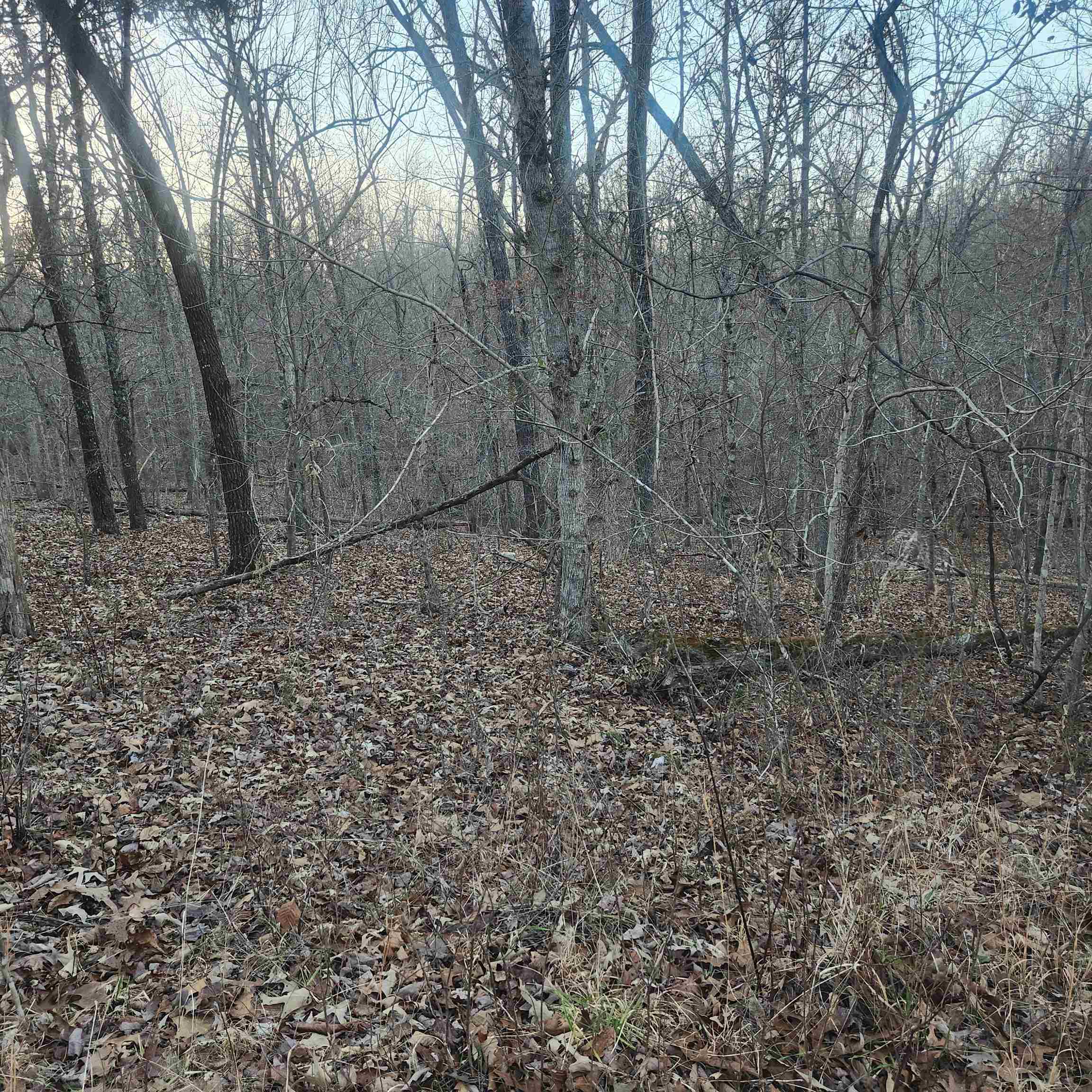 L-08, B-24 Piegan  Cherokee Village, AR