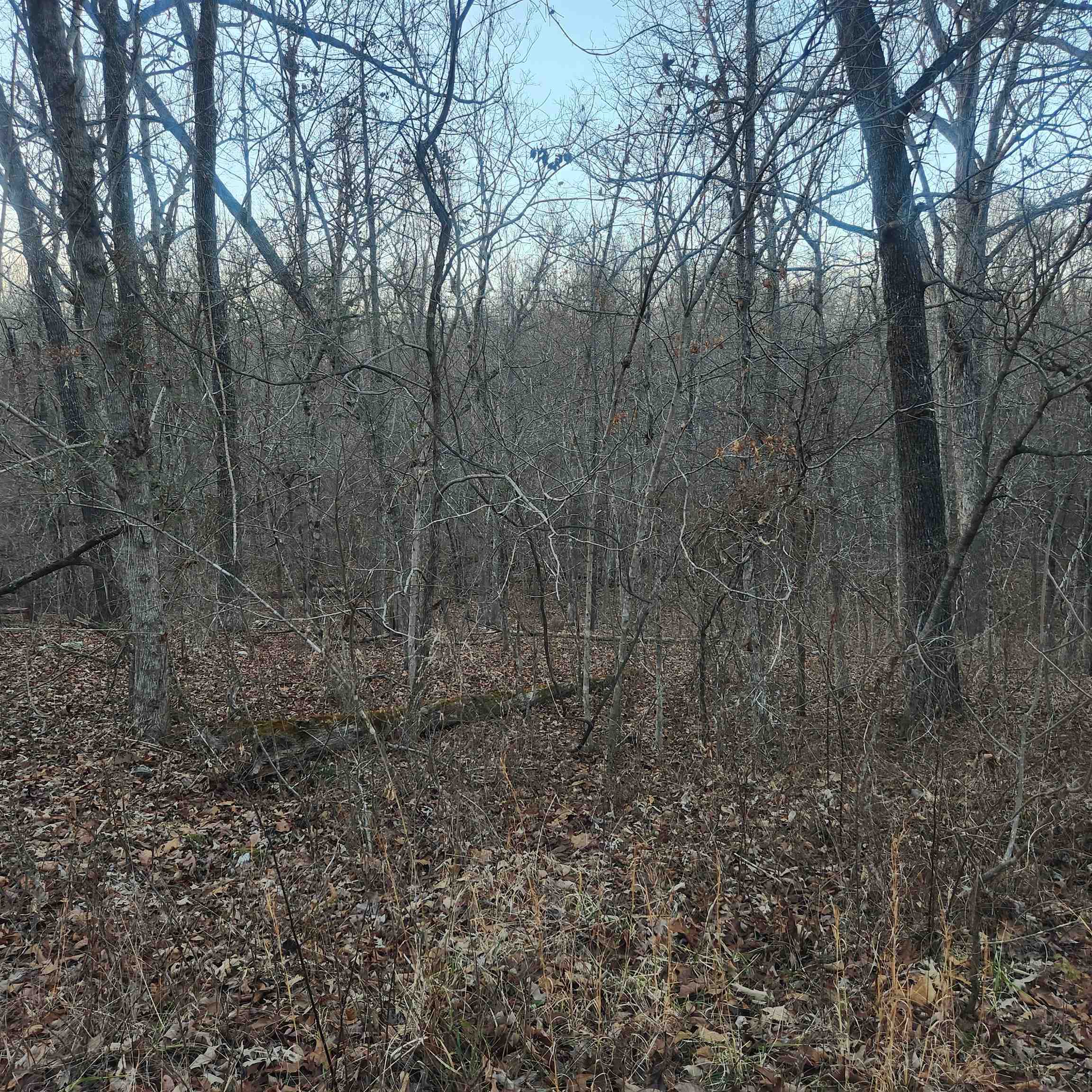 L-08, B-24 Piegan  Cherokee Village, AR