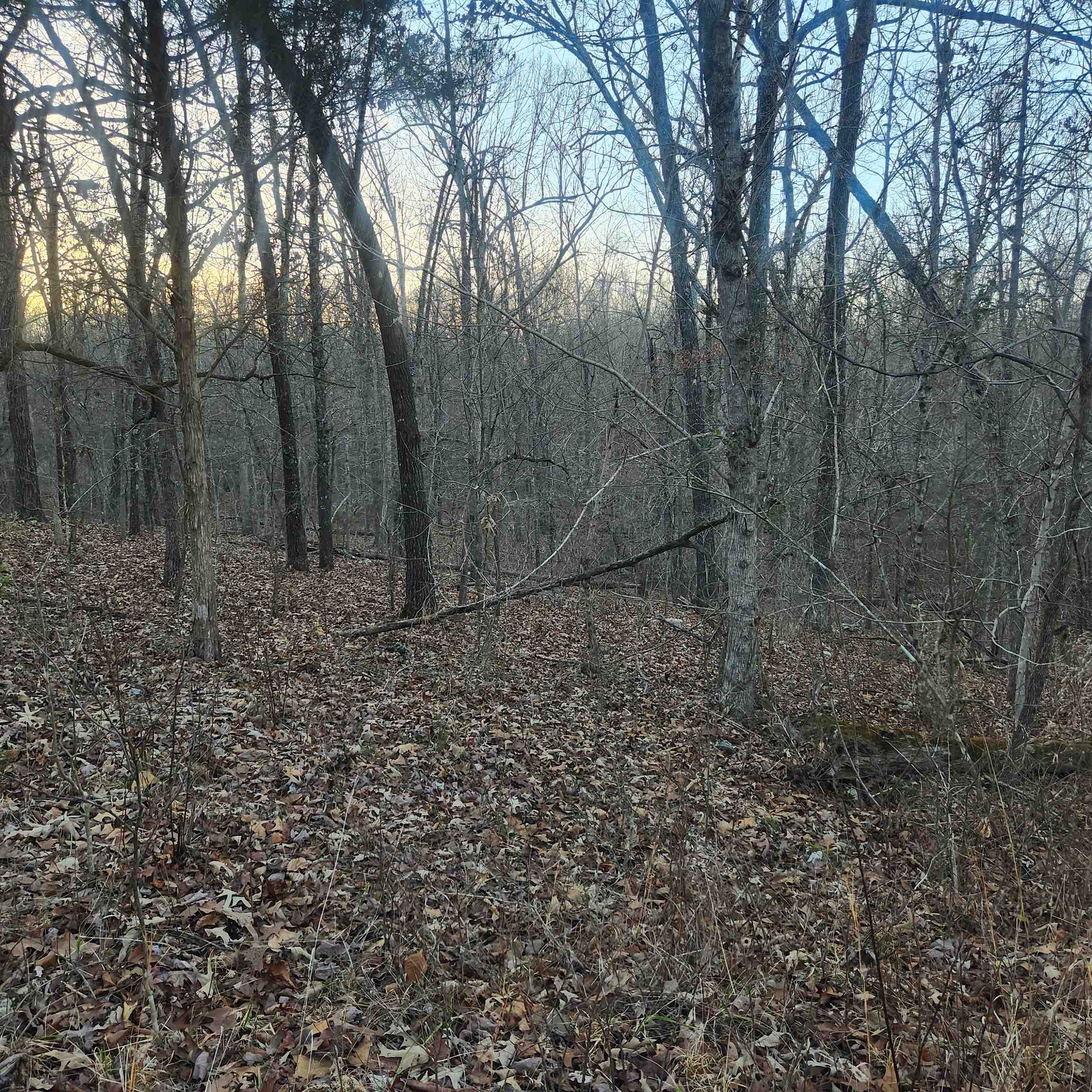 L-08, B-24 Piegan  Cherokee Village, AR