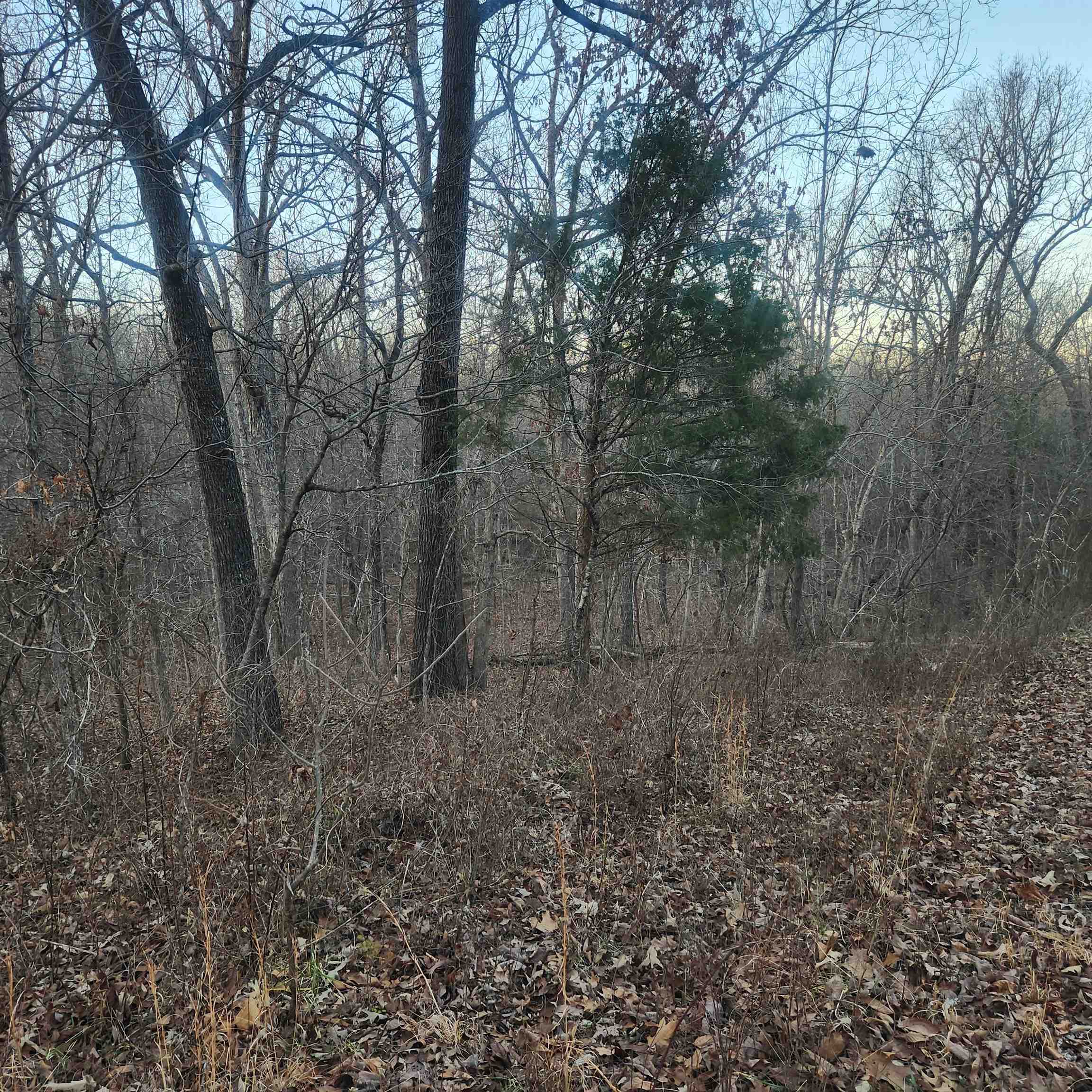 L-08, B-24 Piegan  Cherokee Village, AR