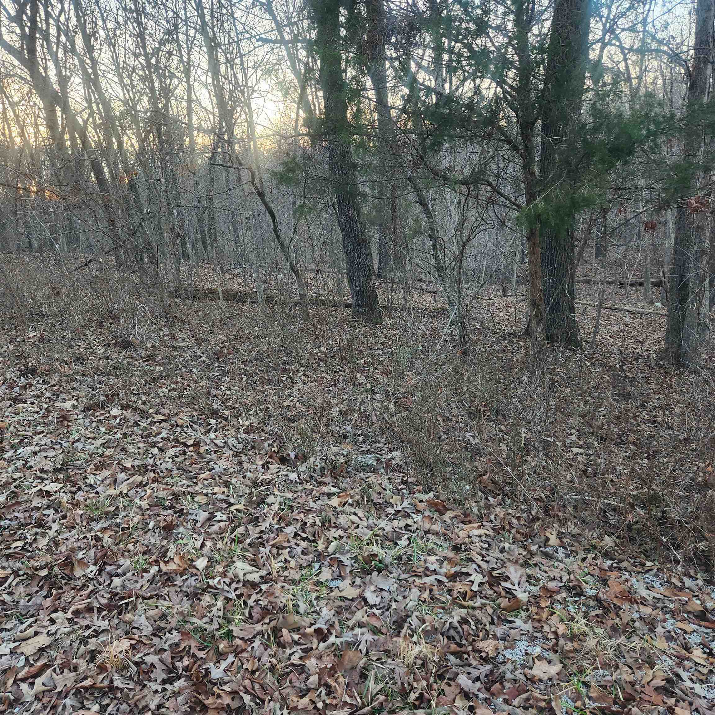 L-08, B-24 Piegan  Cherokee Village, AR