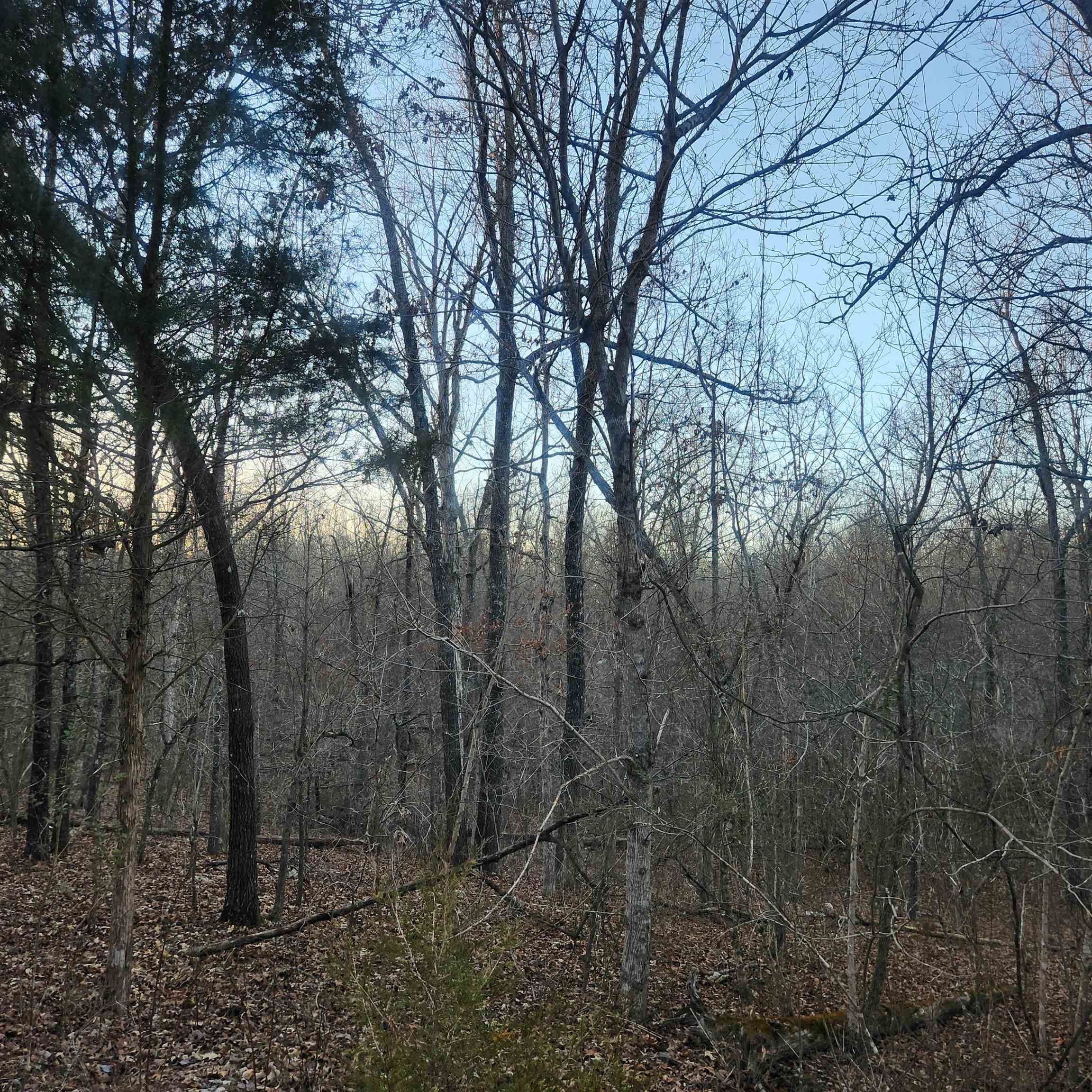 L-08, B-24 Piegan  Cherokee Village, AR